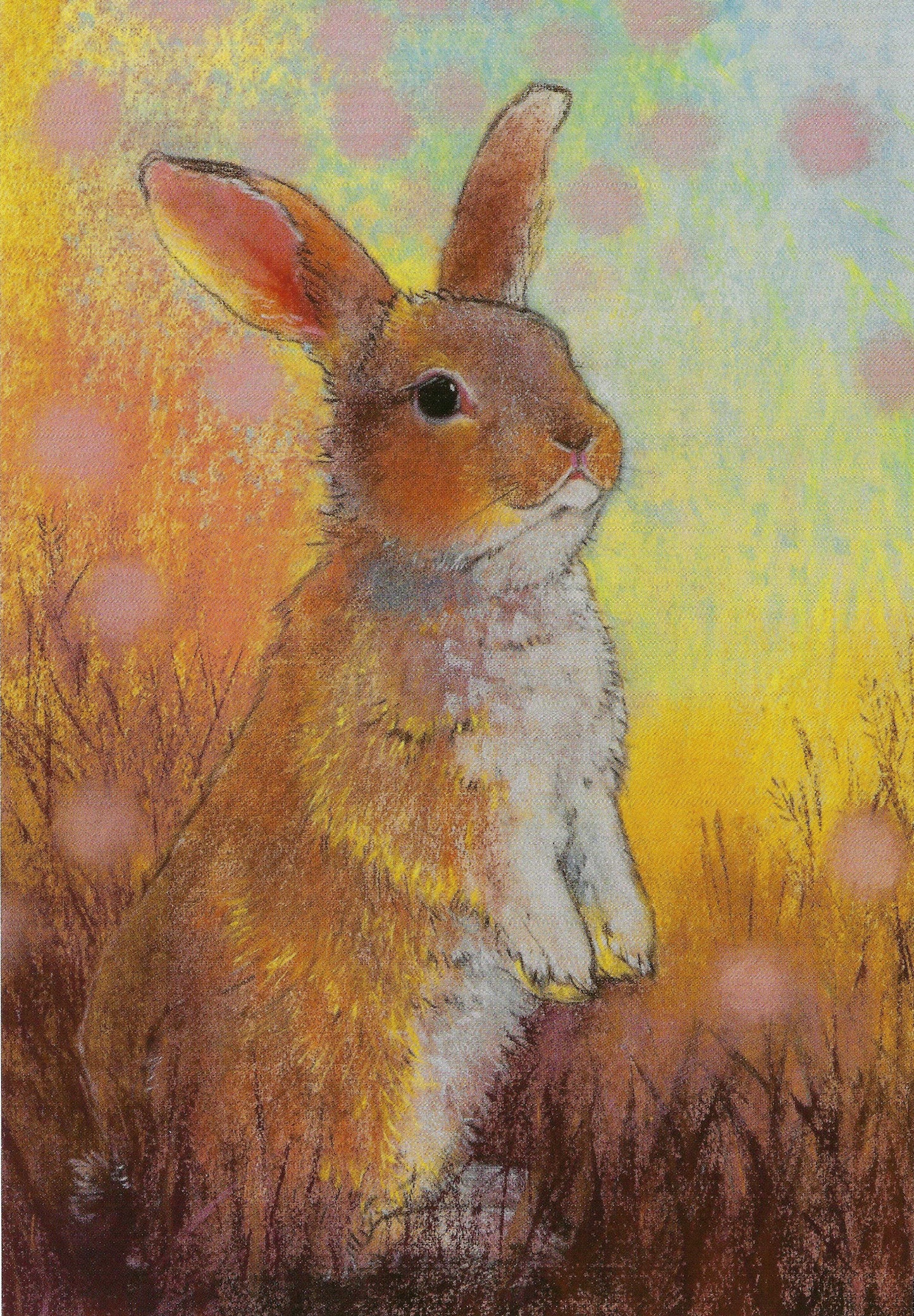 Loes Botman - Bunny - Rabbit - Hare - Hello Friend - Postcard
