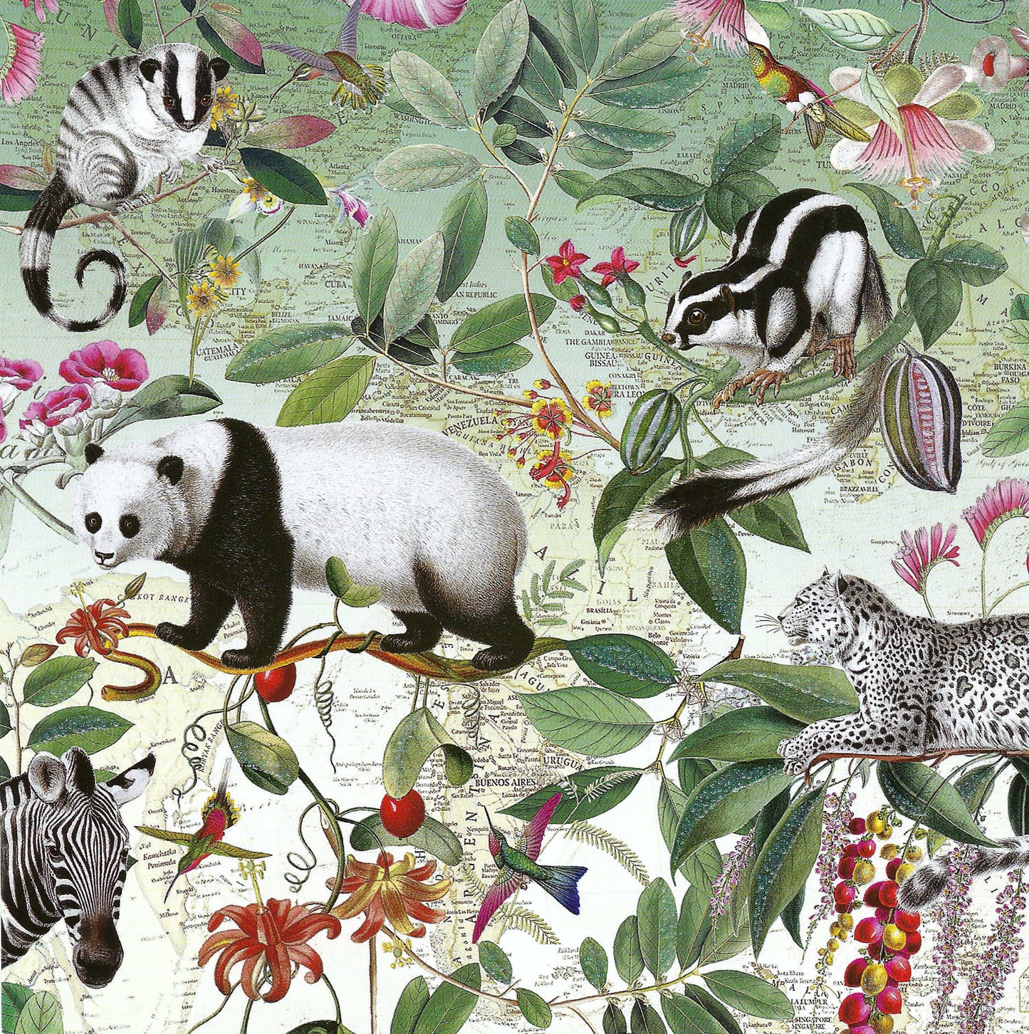 Barbara Behr - Auguri - Animals - Panda - Zebra - Leopard - Flowers - Hummingbirds - Postcard