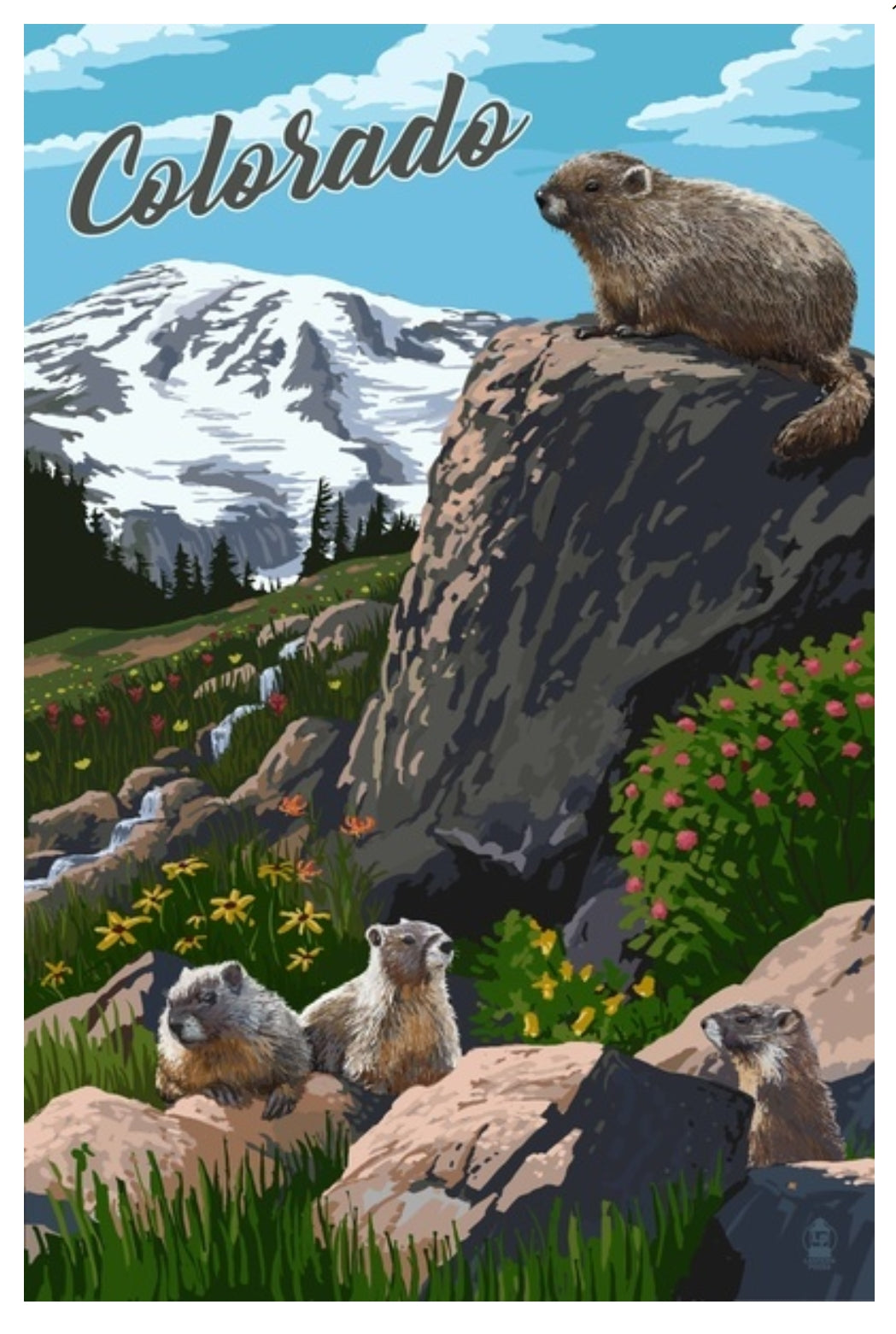 Colorado marmots postcard by Lantern Press – stylized wildlife art featuring two marmots in a mountain landscape, printed on recycled paper.