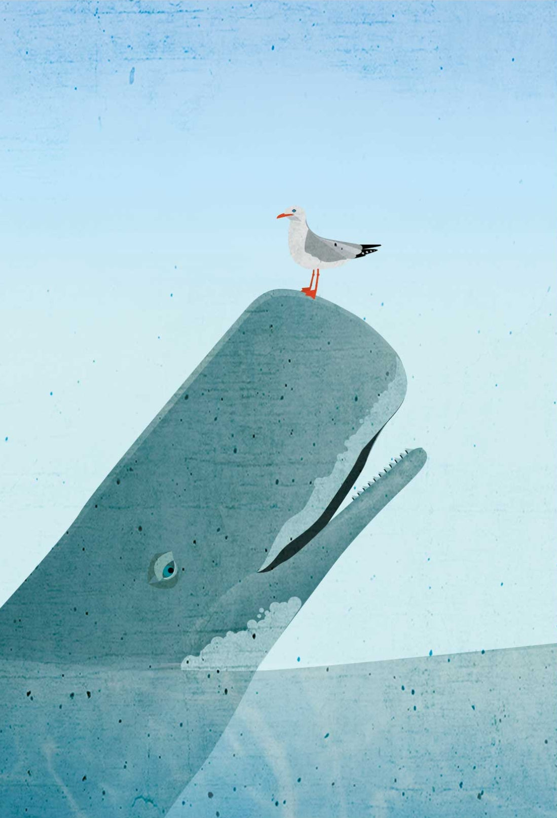Whale and Seagull Postcard by Nobis Design