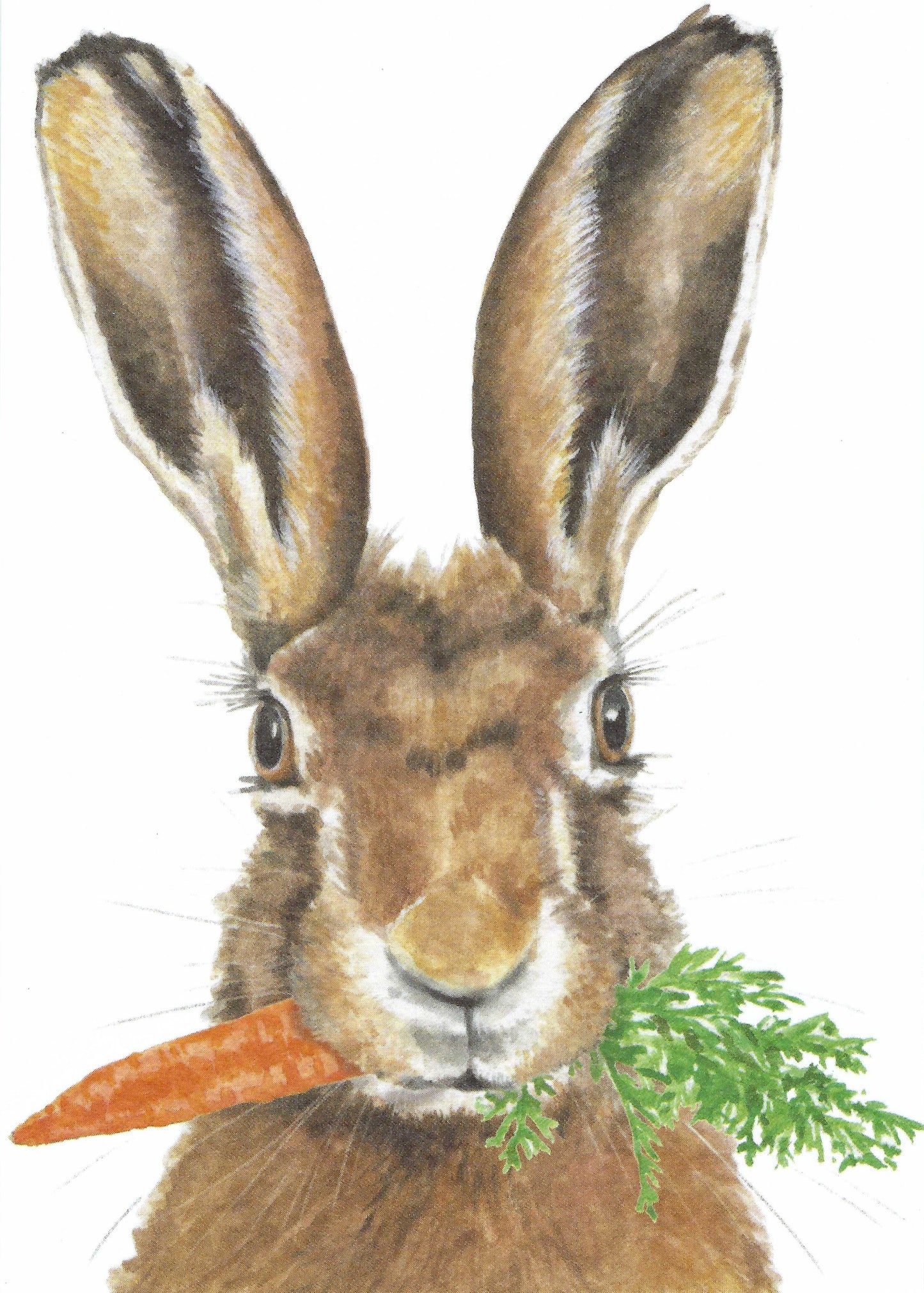 Edition Gollong postcard of a Rabbit with Carrot - Easter