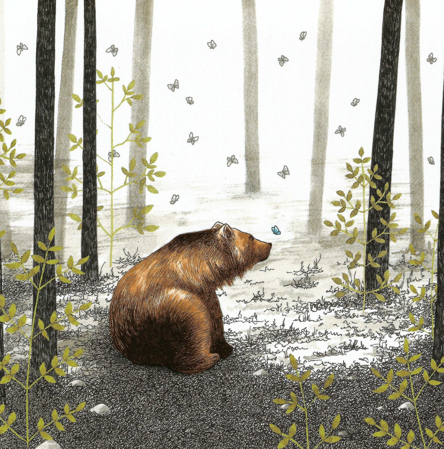 A postcard featuring an illustration of a brown bear in a forest with butterflies. Editions Titi Pinson postcard illustrated by Myriam Nion featuring a brown bear in a forest surrounded by butterflies—square format with varnish accents, printed in France.