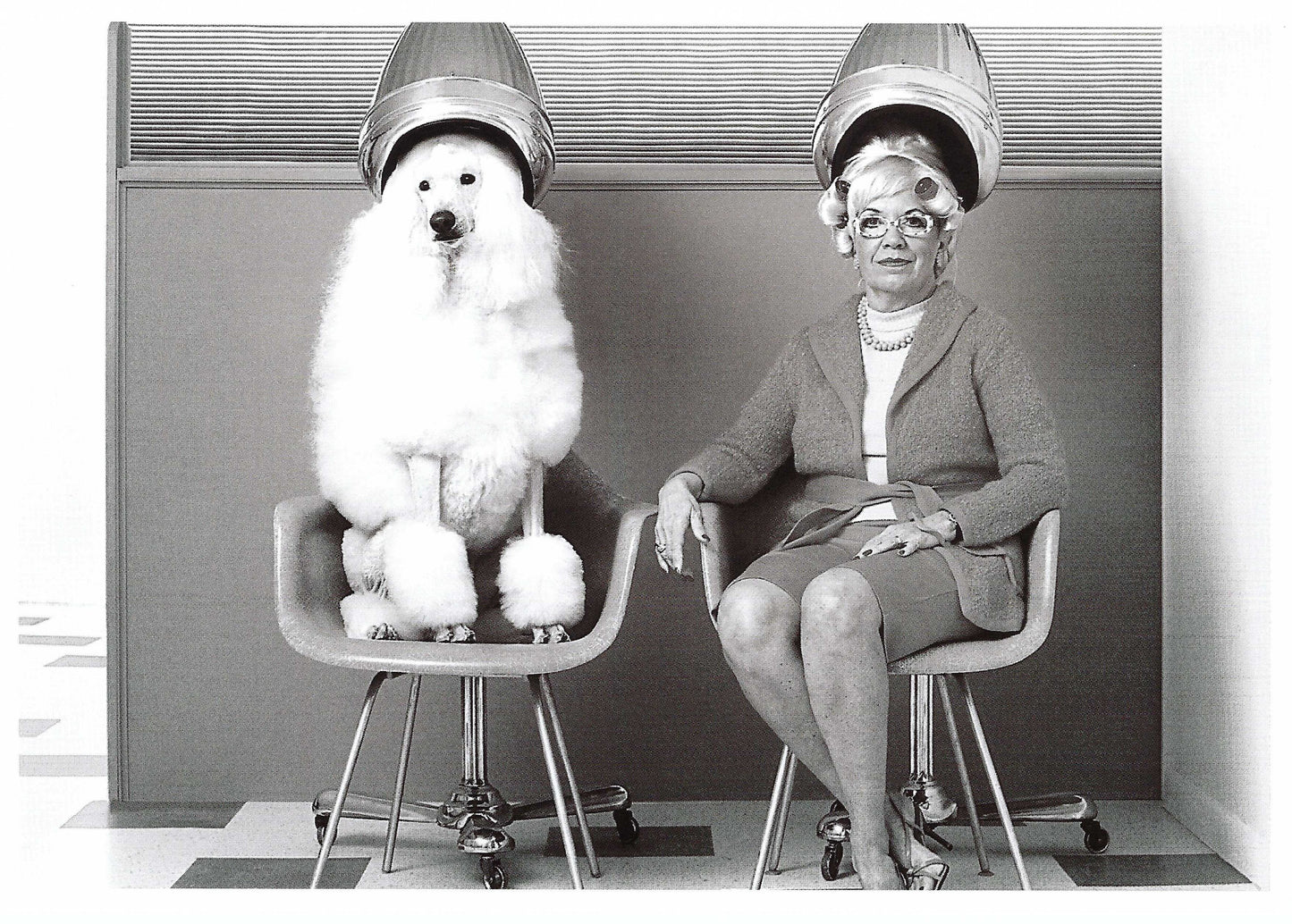 At the Hairdresser Black and white postcard featuring a woman and a poodle in a hairdresser's chair.
