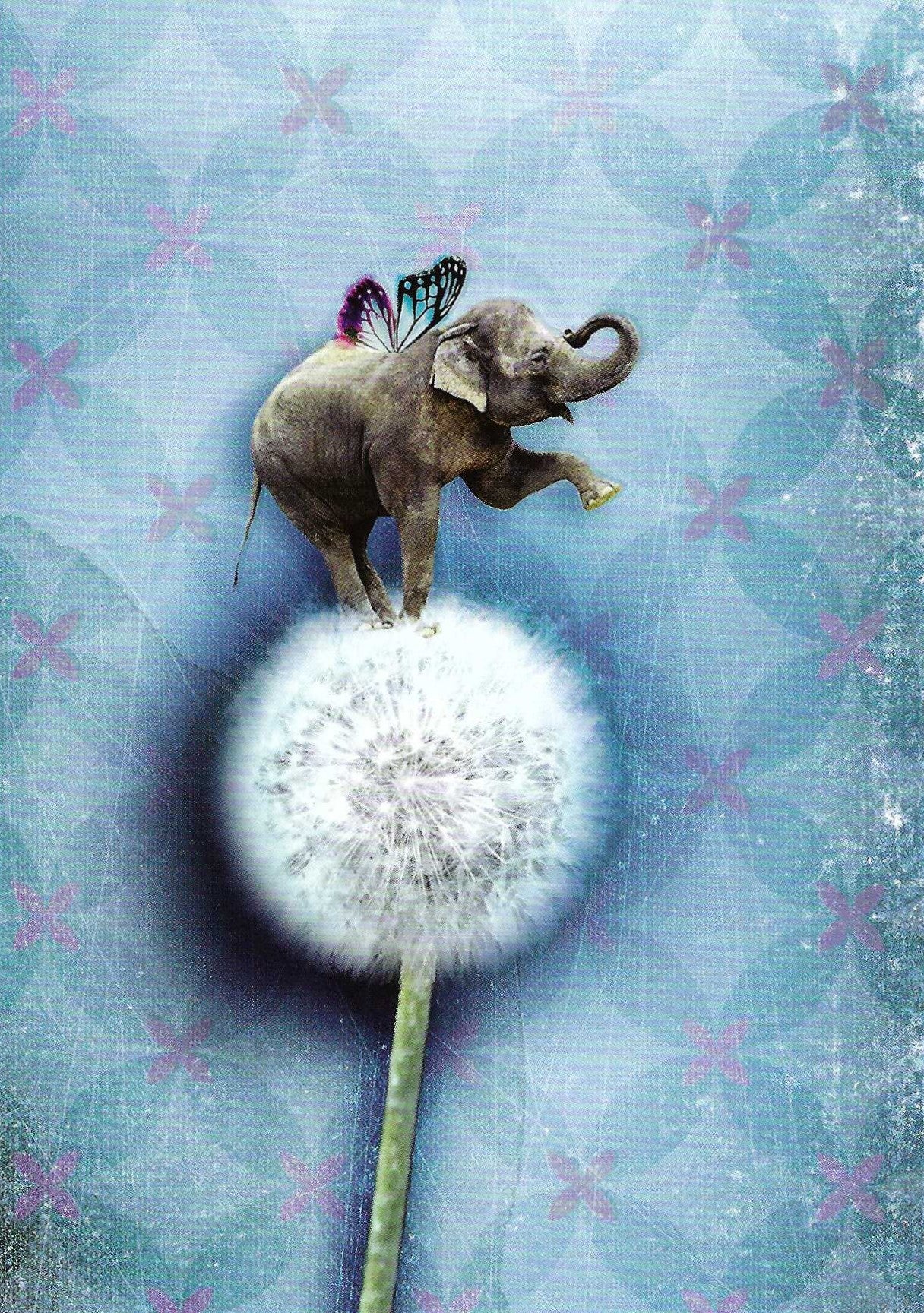 Elephant (Pustefant) Postcard by La Tack for Nobis Design featuring a small gray elephant with a colorful butterfly wings on its back, standing on a dandelion seed head against a textured blue and purple background.