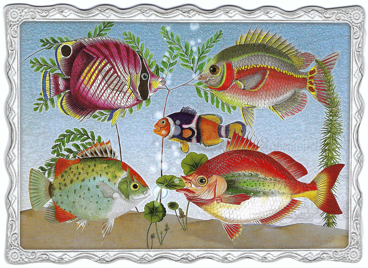 Fishes Postcard by Auguri by Barbara Behr featuring an illustration of colorful fish with glitter details by Edition Gollong