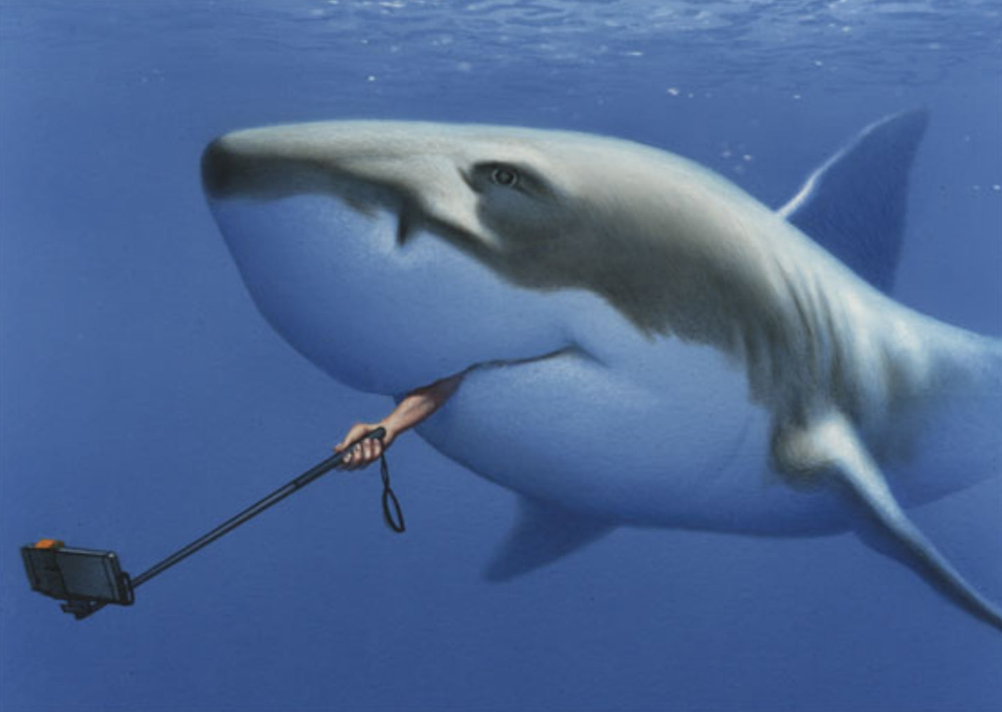 Inkognito Postcard - Spectacular Selfie - Shark