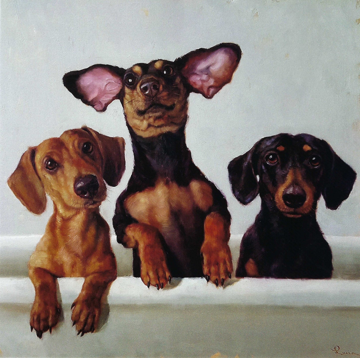 International Graphics - Lucia Heffernan - Dashunds - Doxin - 3 Amigos - Postcard