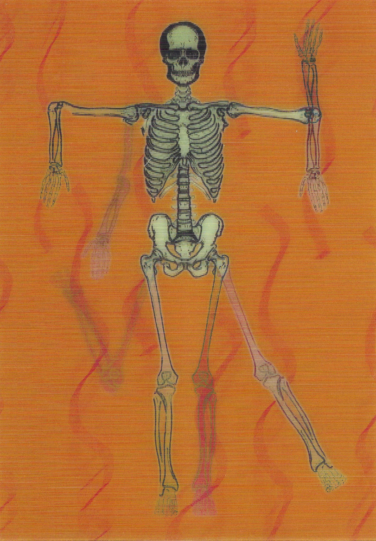 Halloween Postcard - Lenticular Postcard - Dancing Skeleton - LM Kartenvertrieb - Postcrossing Postcard
