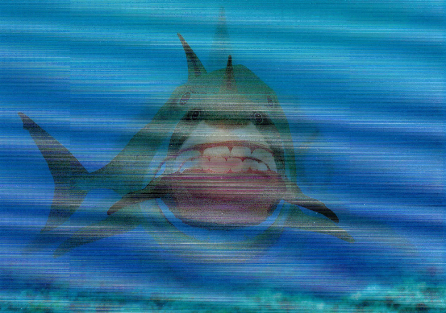 L.M. Kartenvertrieb - Smiling Shark - Ocean - Lenticular Postcard