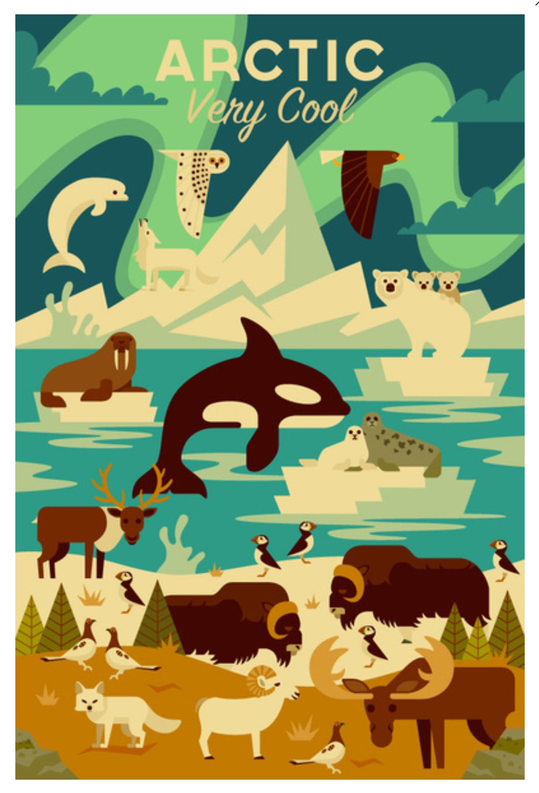 Lantern Press Postcard - Arctic Very Cool - Animal Postcard - Postcrossing Postcard