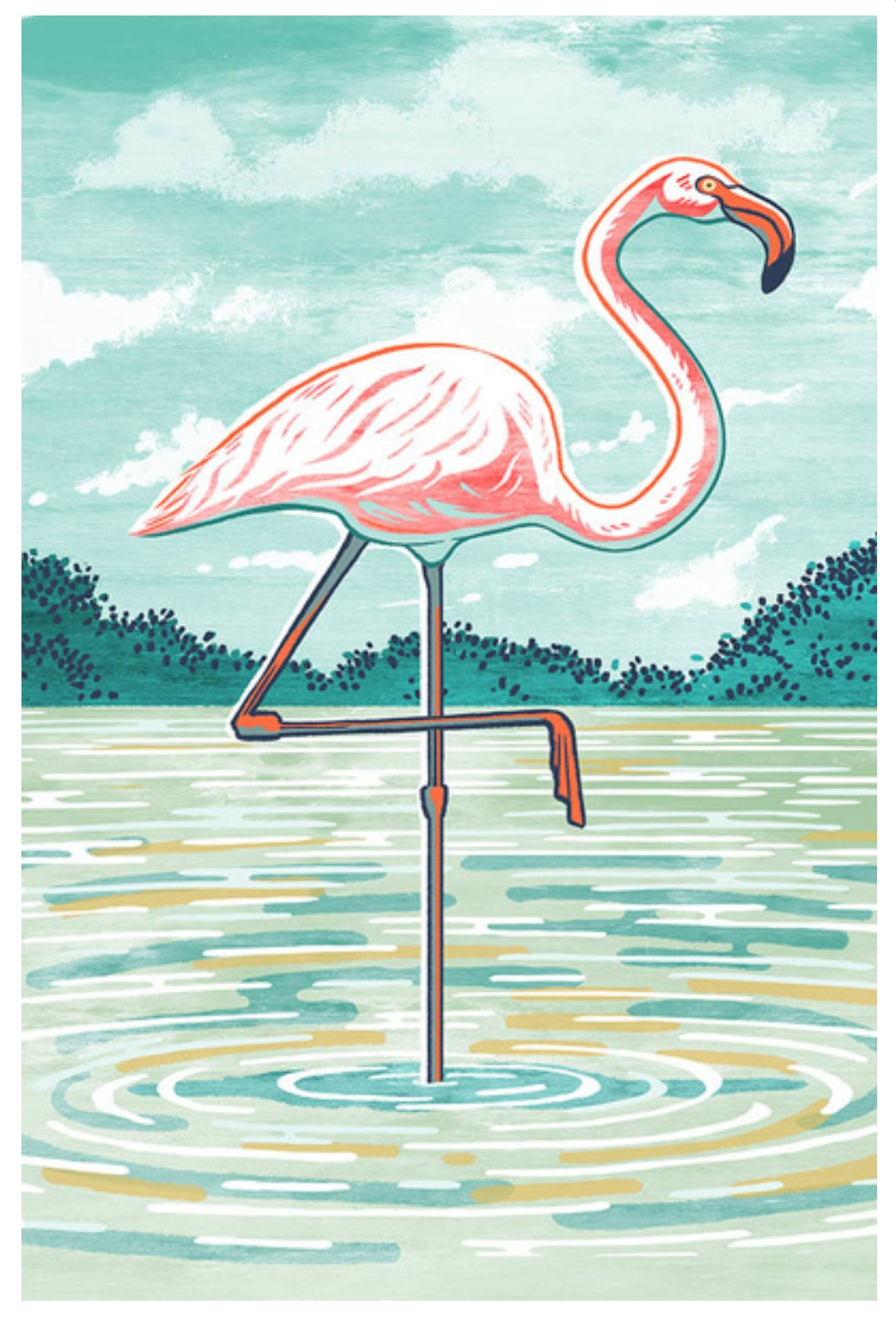 Lantern Press - Flamingo - Postcard