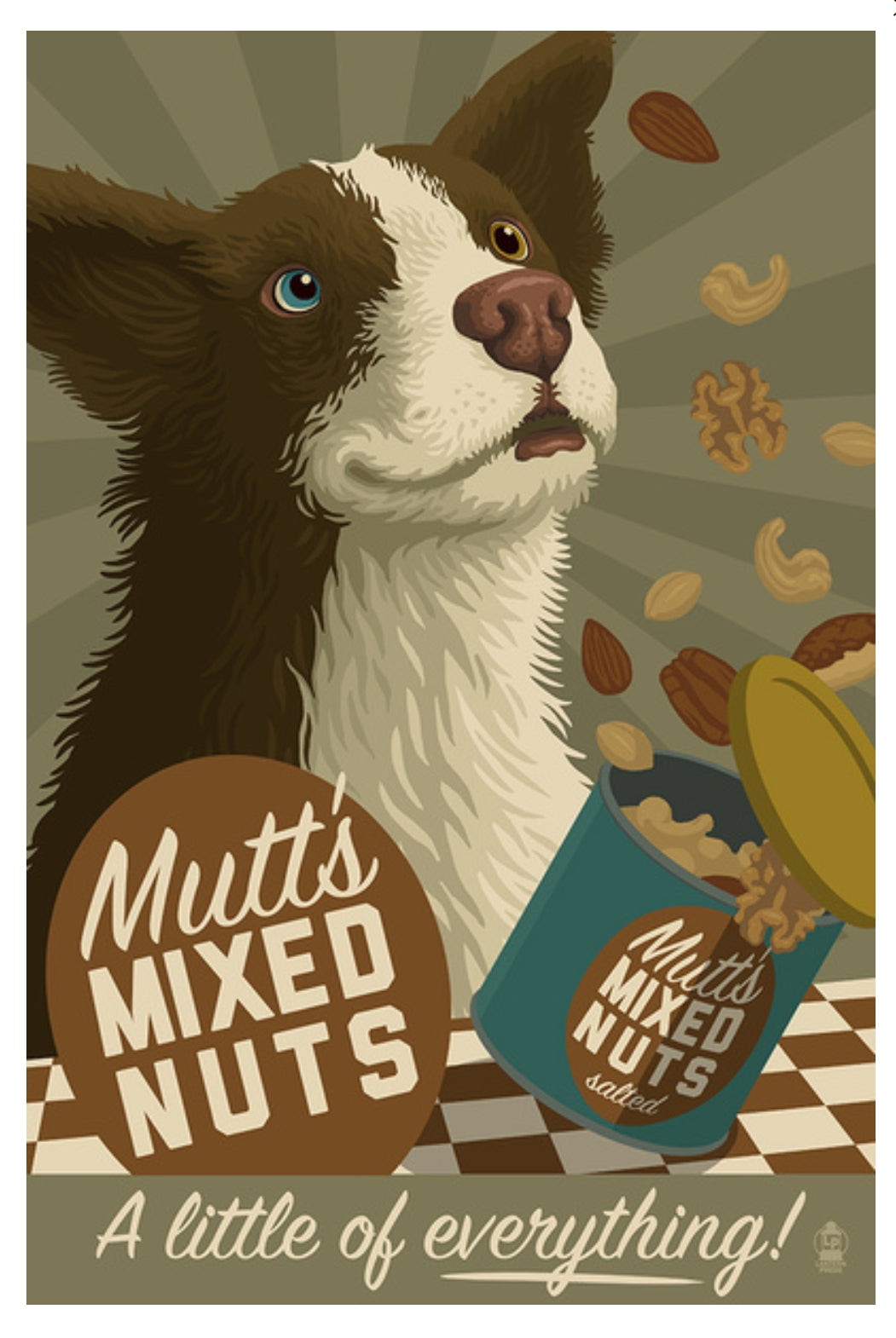 Lantern Press - Mutt - Retro Mixed Nuts Ad - Postcard