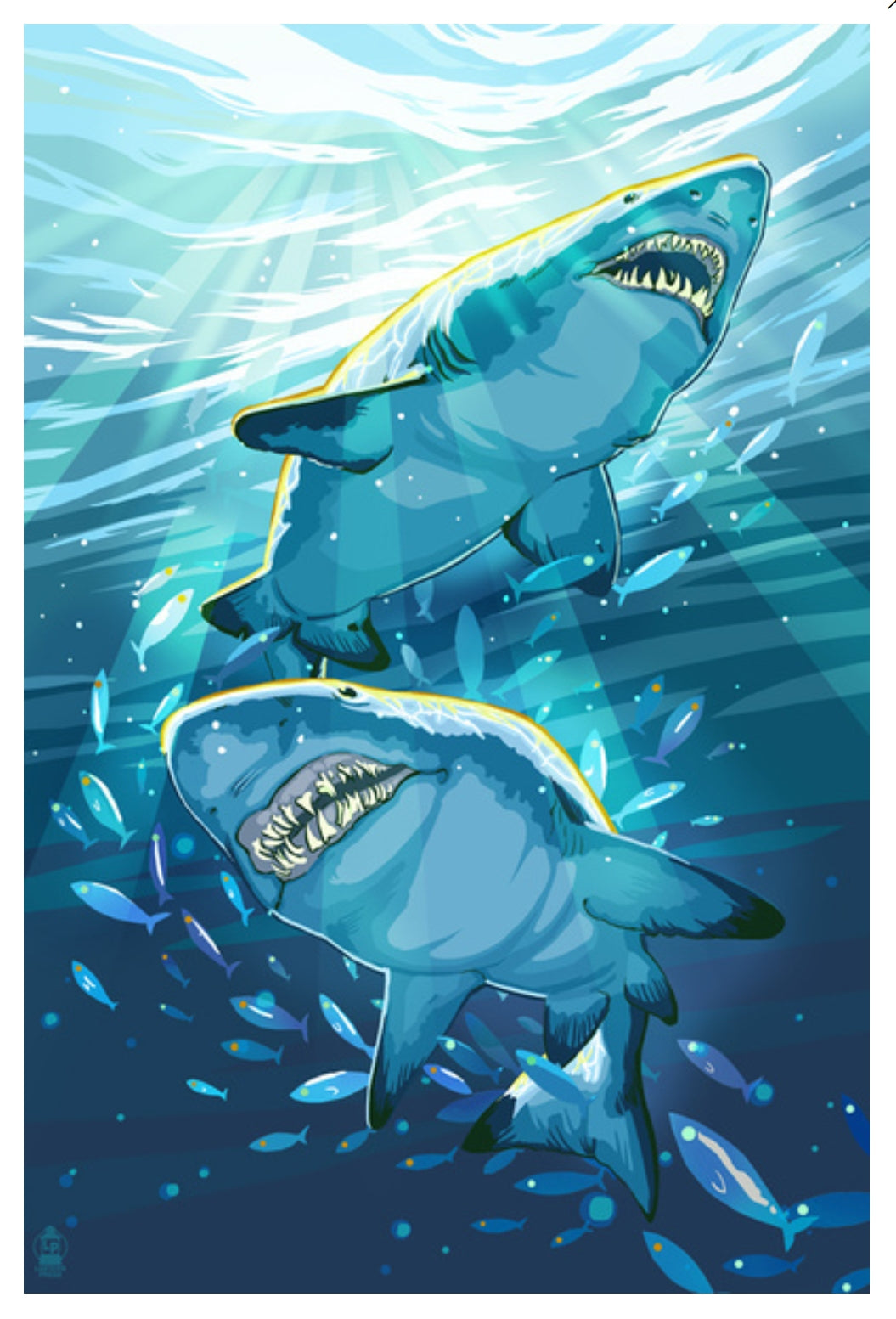 Tiger Shark Postcard by Lantern Press featuring an illustration of two tiger sharks in a blue ocean environment, with a school of fish swimming around them.