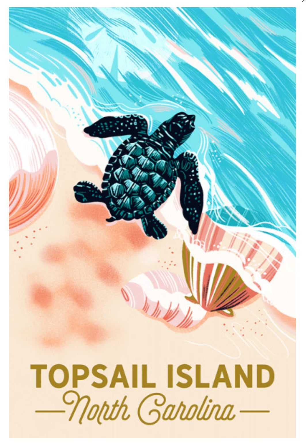 Lantern Press - Topsail Island - North Carolina - Turtle and Shells - Postcard