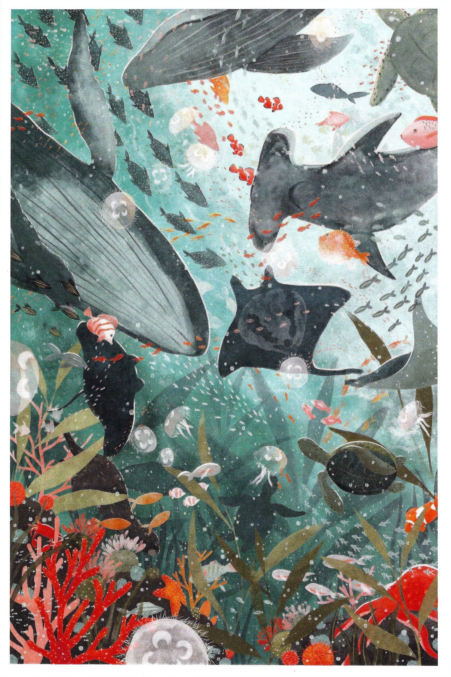 A colorful Lantern Press postcard featuring an underwater scene with whales, sharks, and various fish among coral and sea turtles.