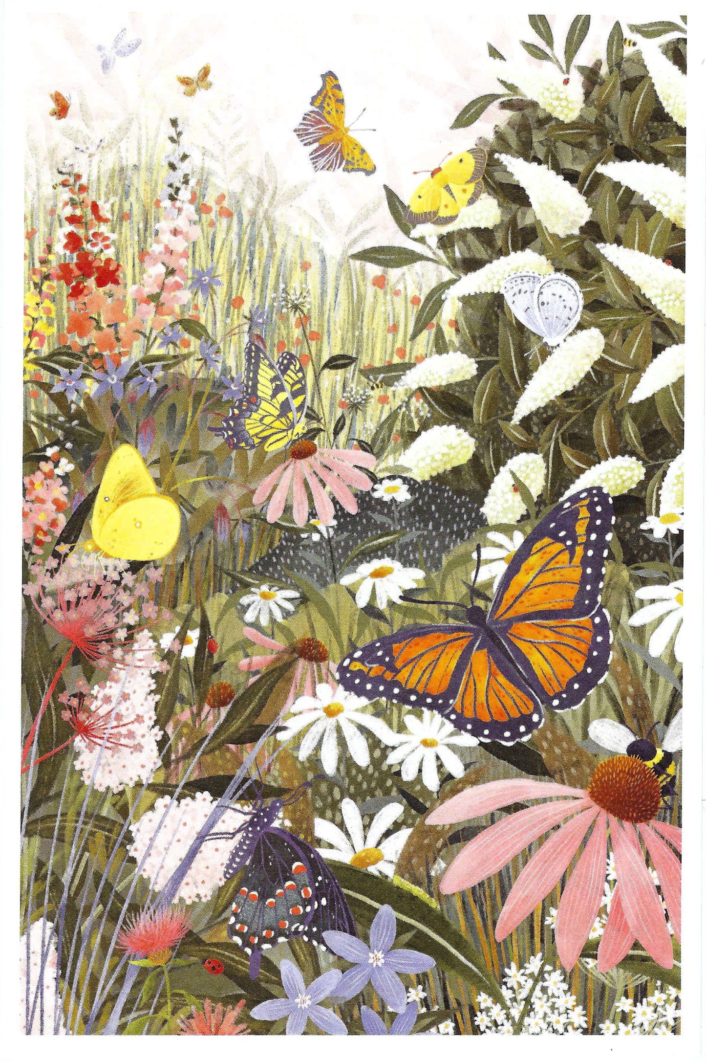 Butterfly Postcard - Lantern Press - Colorful illustration of butterflies and flowers in a garden setting