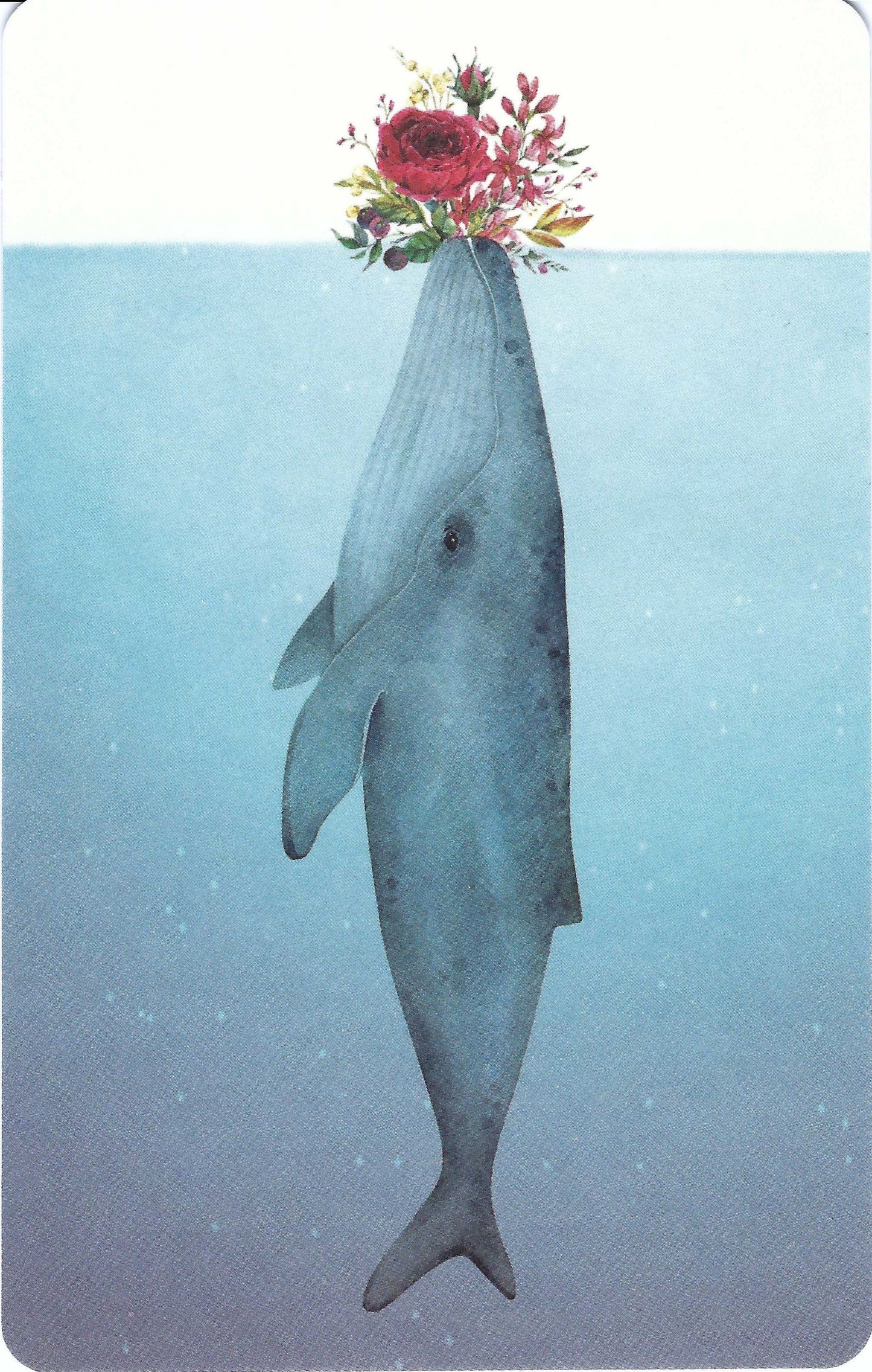 Luna Cards - Whale with Flowers - Mini Postcard