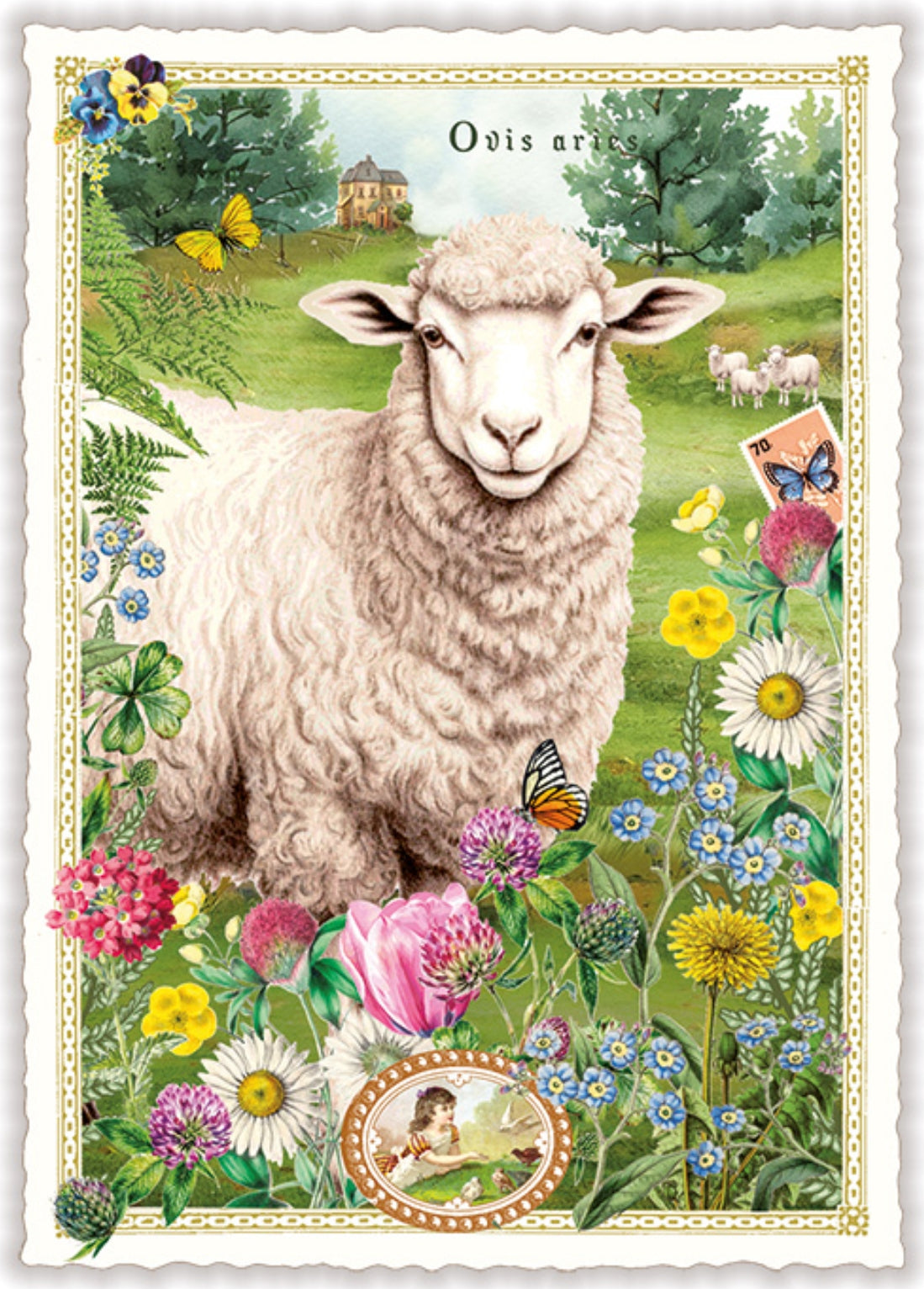 Sheep Postcard by Edition Tausendschön featuring a sheep in a pastoral scene with flowers and butterflies