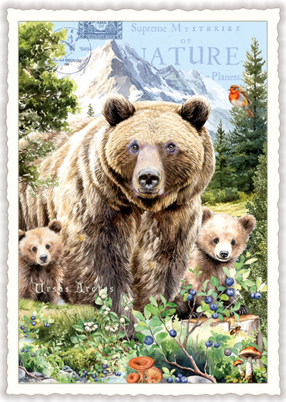 Bears Postcard by Edition Tausendschön featuring a Bear with cubs in a forest setting with mountains in the background