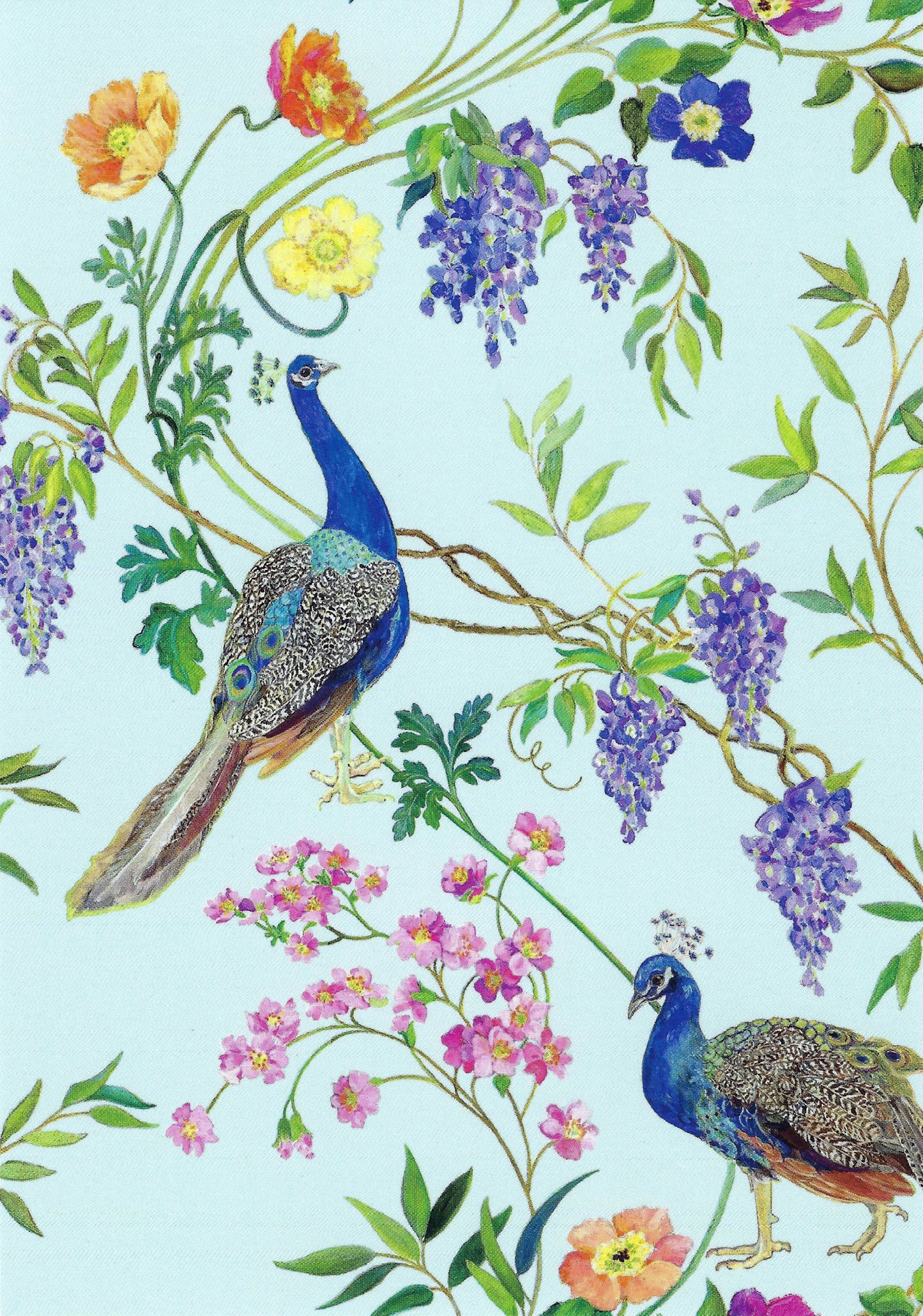 Peacock Postcard - Postcrossing Postcard - Two peacocks among flowers and leaves on a light blue background