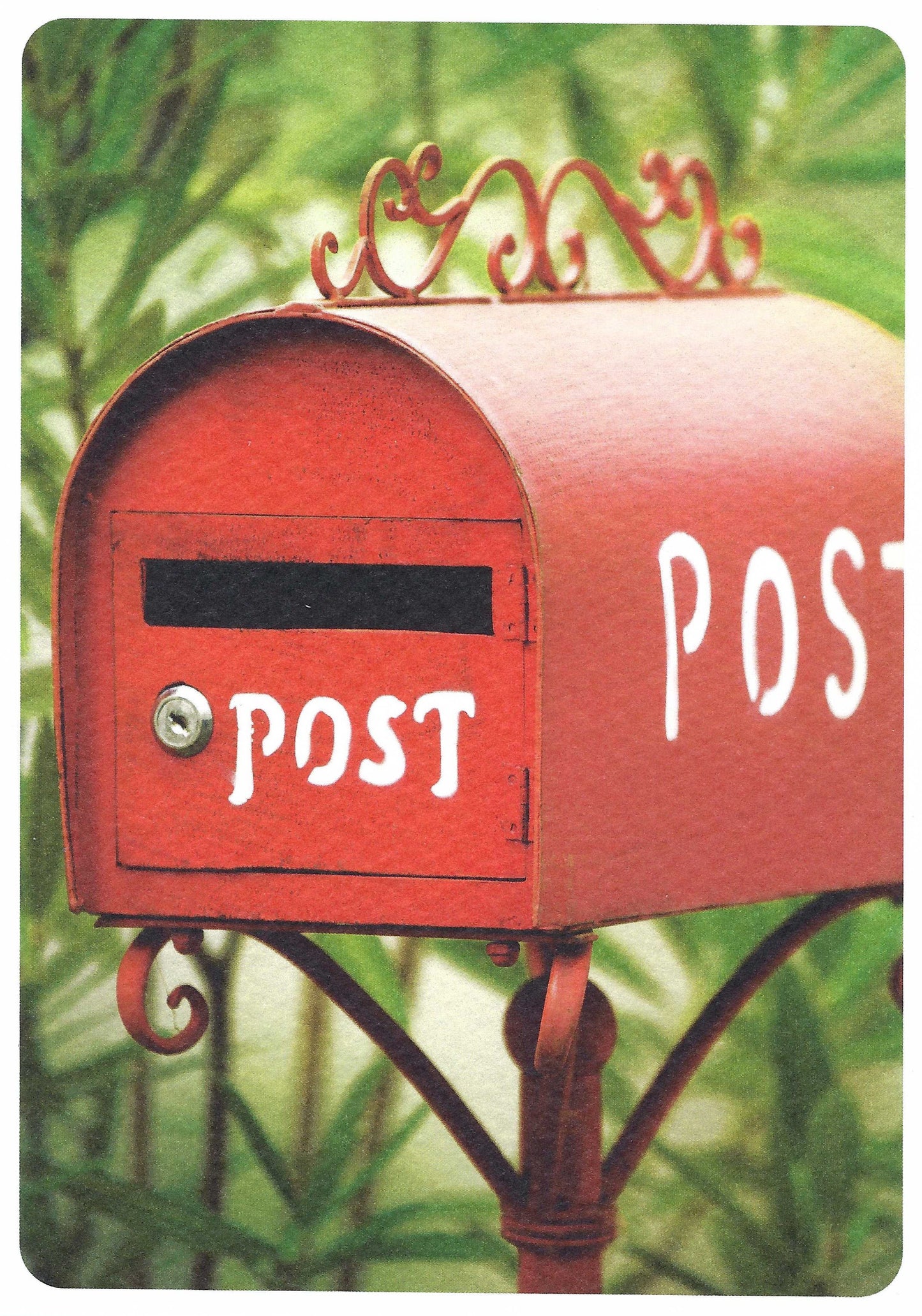Skowronski and Koch - Post - Mailbox - Postcard