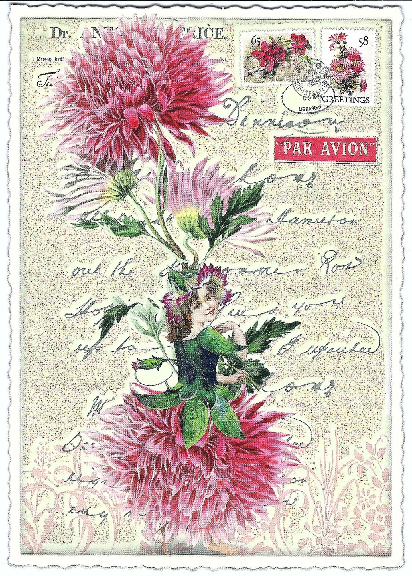 Edition Tausendschön - Aster - PK680- Postcard