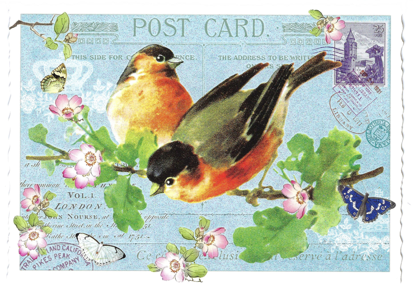 Edition Tausendschön - Bullfinch- PK1065 - Postcard