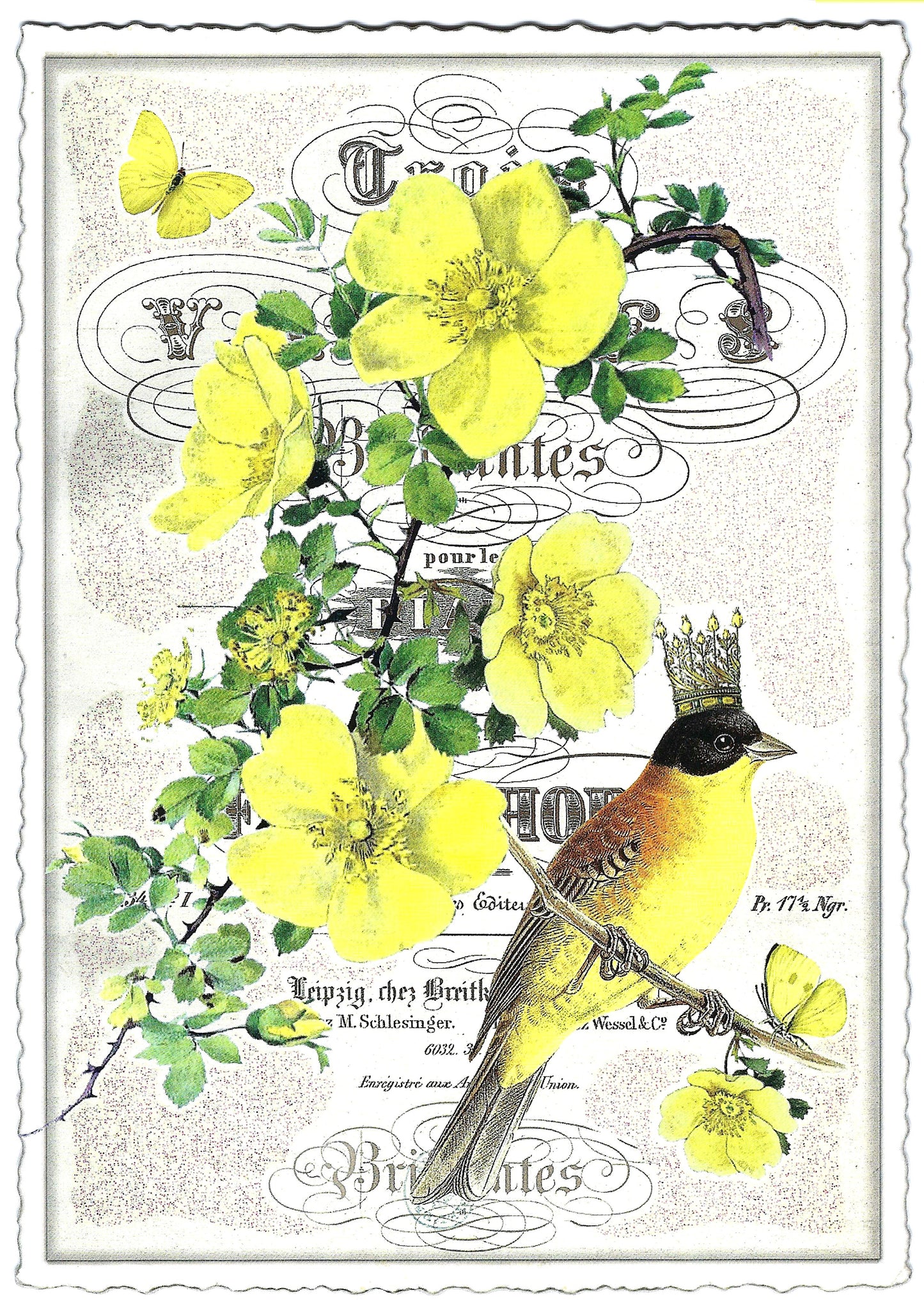 Edition Tausendschön - Buttercup - Bird - PK942 - Postcard