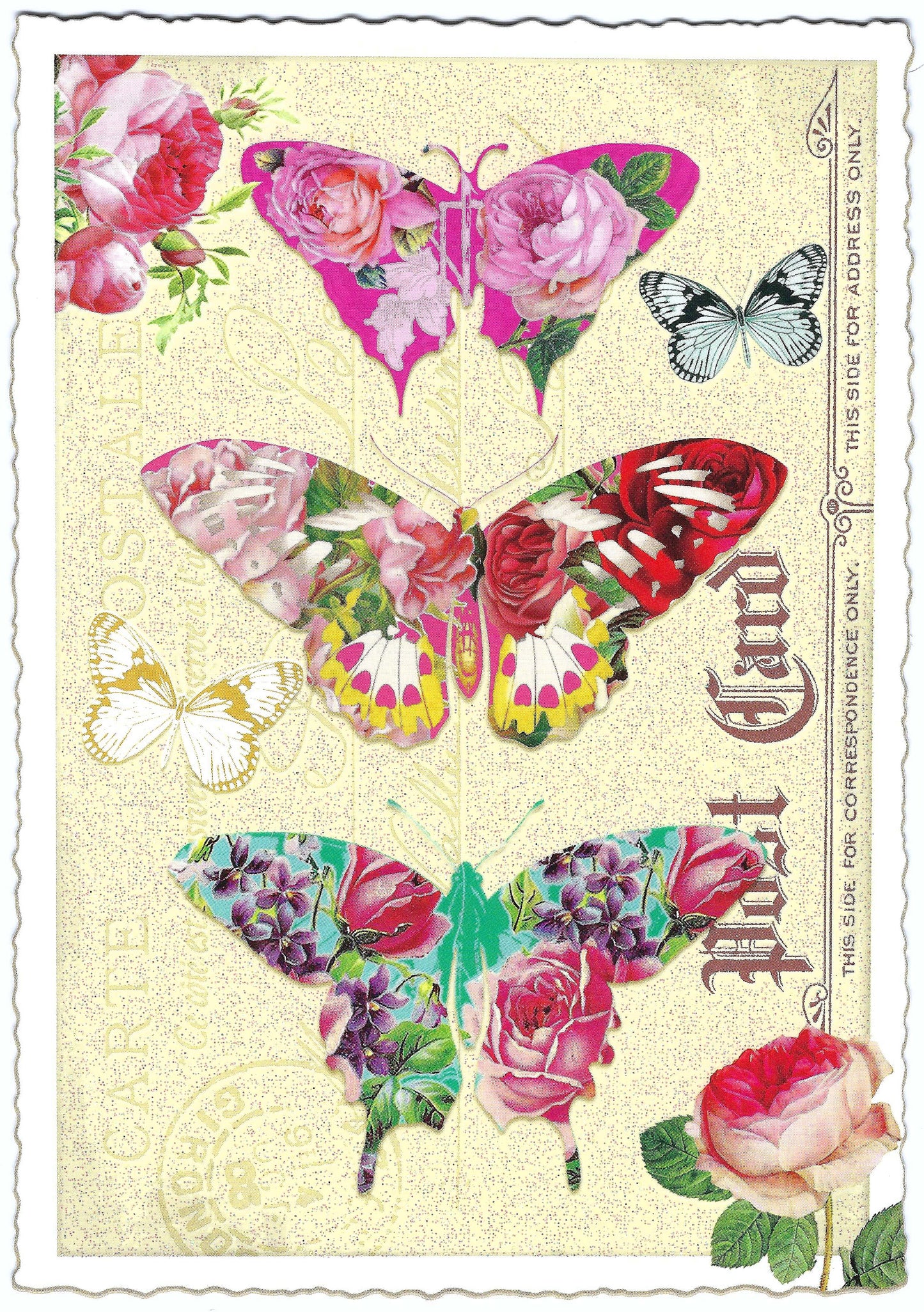 Edition Tausendschön - Butterflies - Postcard