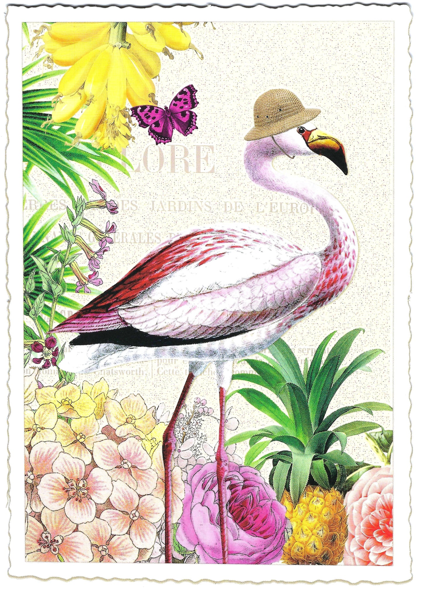 Edition Tausendschön - Flamingo - PK477 - Postcard