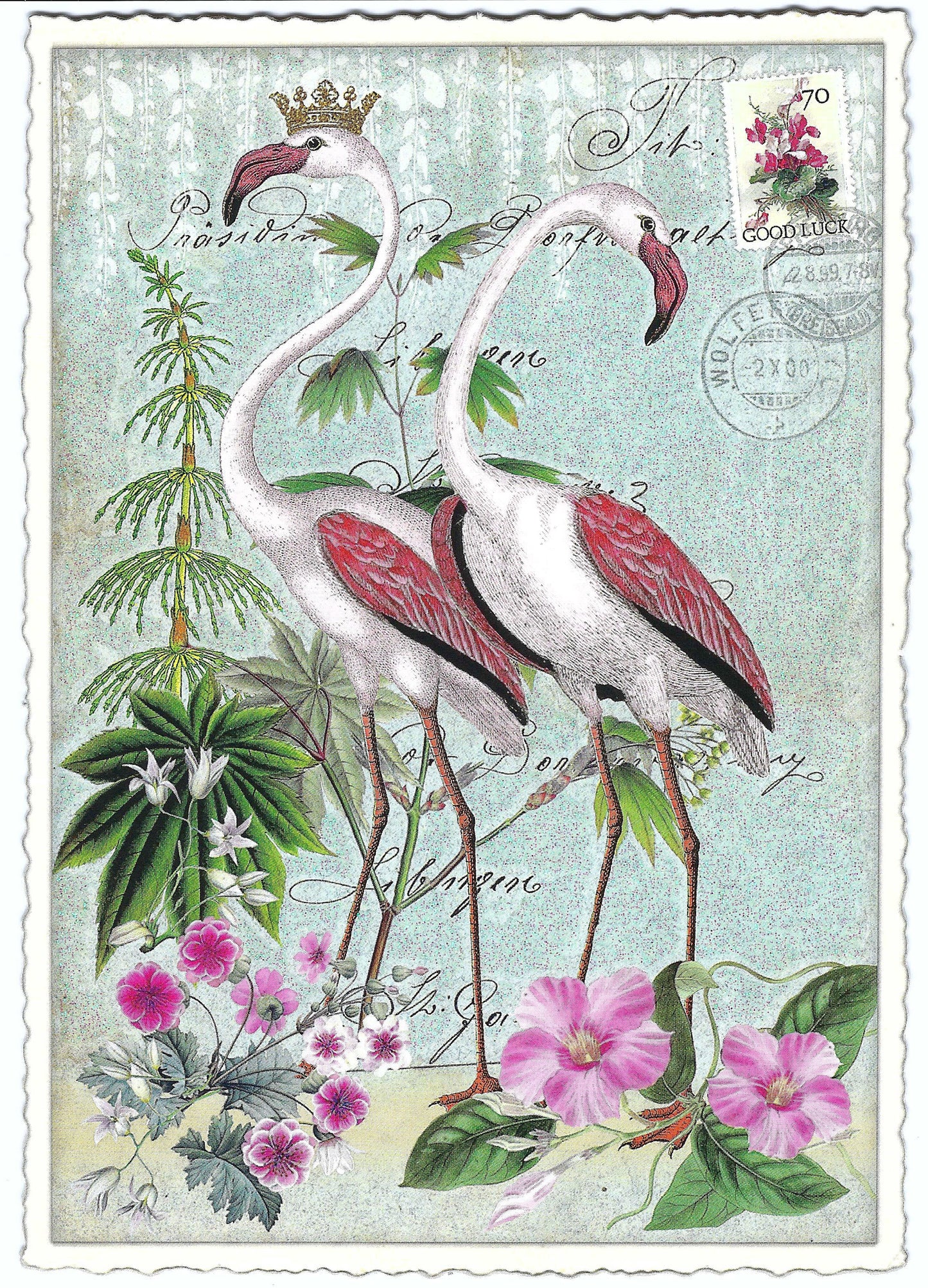 Edition Tausendschön - Flamingos - PK659 - Postcard