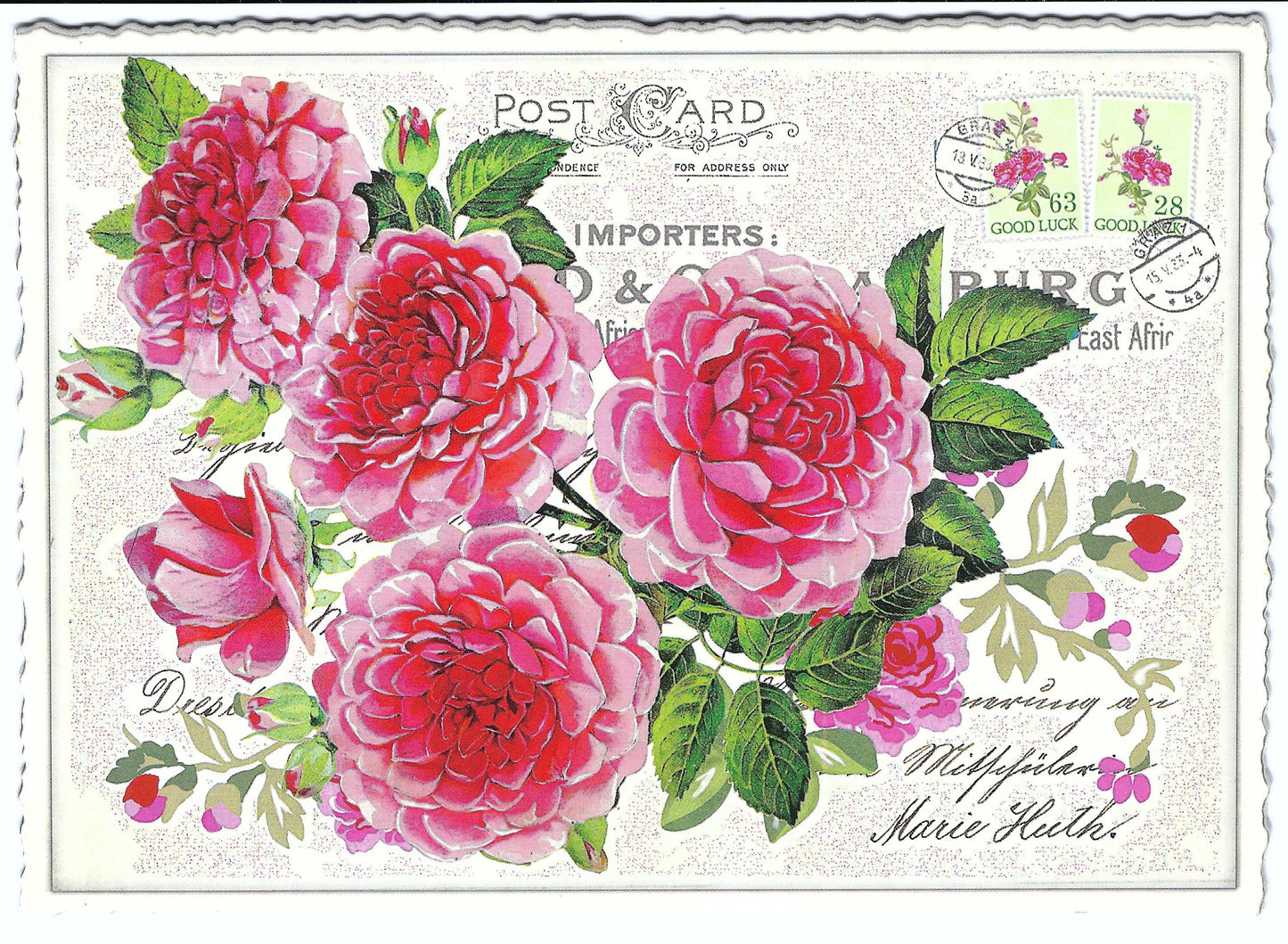 Edition Tausendschön - Flowers - Postcard