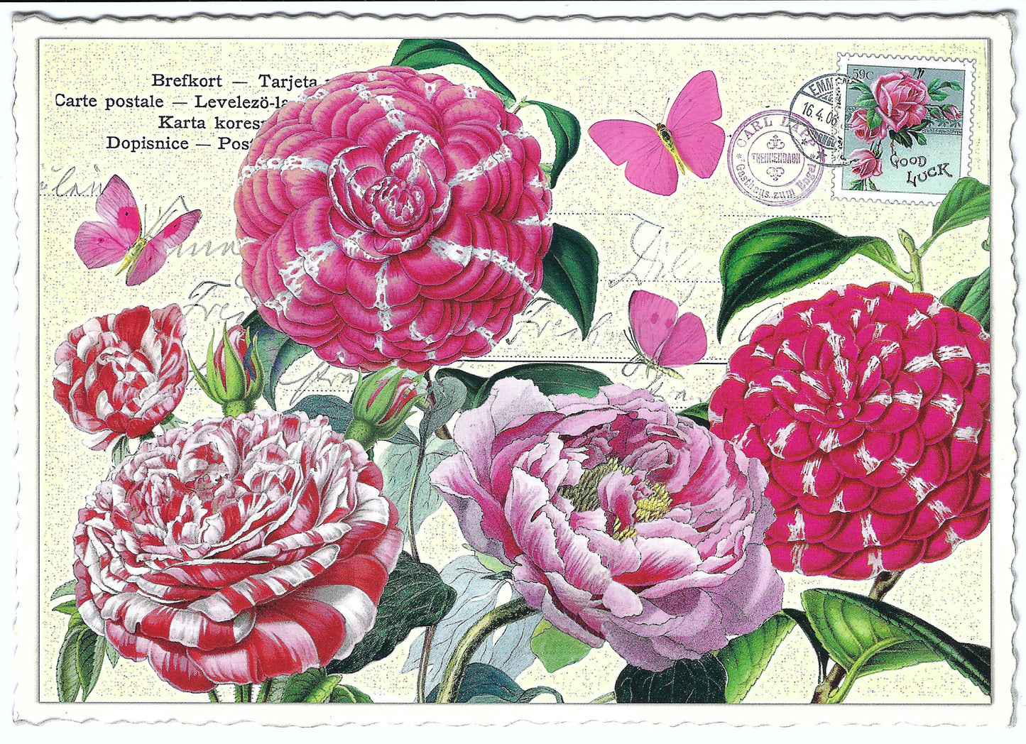 Edition Tausendschön - Flowers - PK796 - Postcard