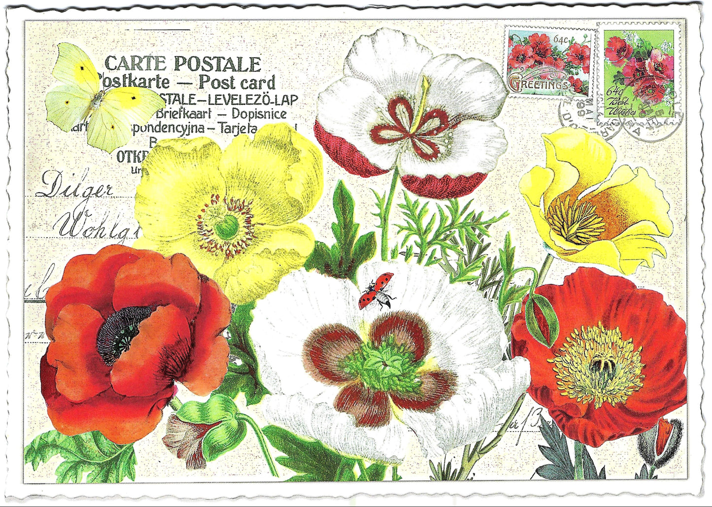 Edition Tausendschön - Flowers - PK797 - Postcard