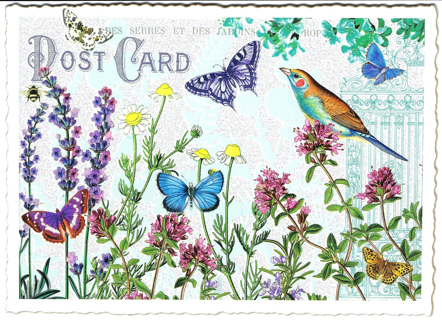 Edition Tausendschön - Flowers with Butterflies - PK904 - Postcard