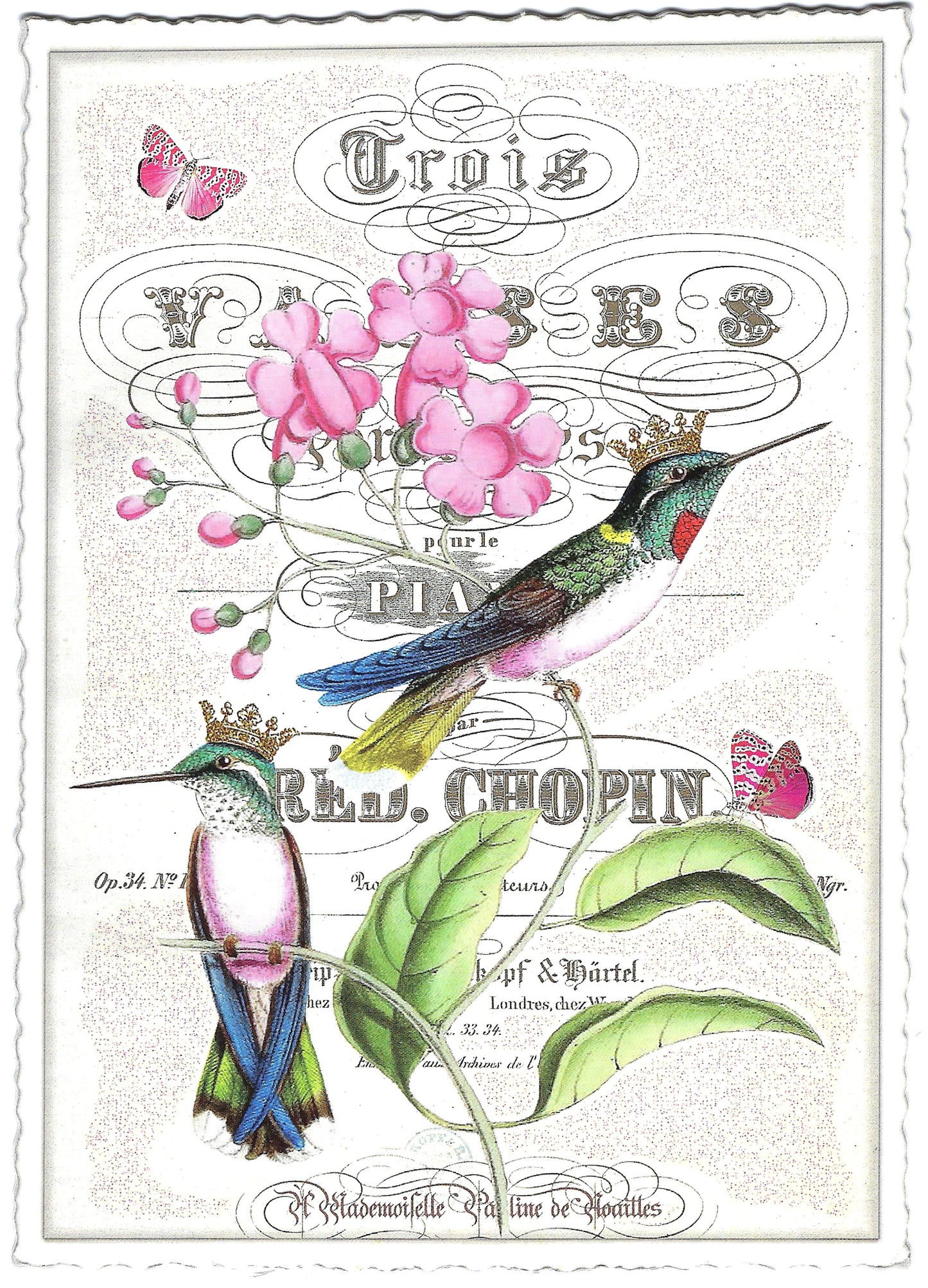 Edition Tausendschön - Flowers with Hummingbirds - PK944 - Postcard