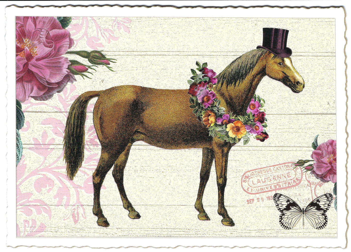 Edition Tausendschön - Horse with Top Hat - Postcard