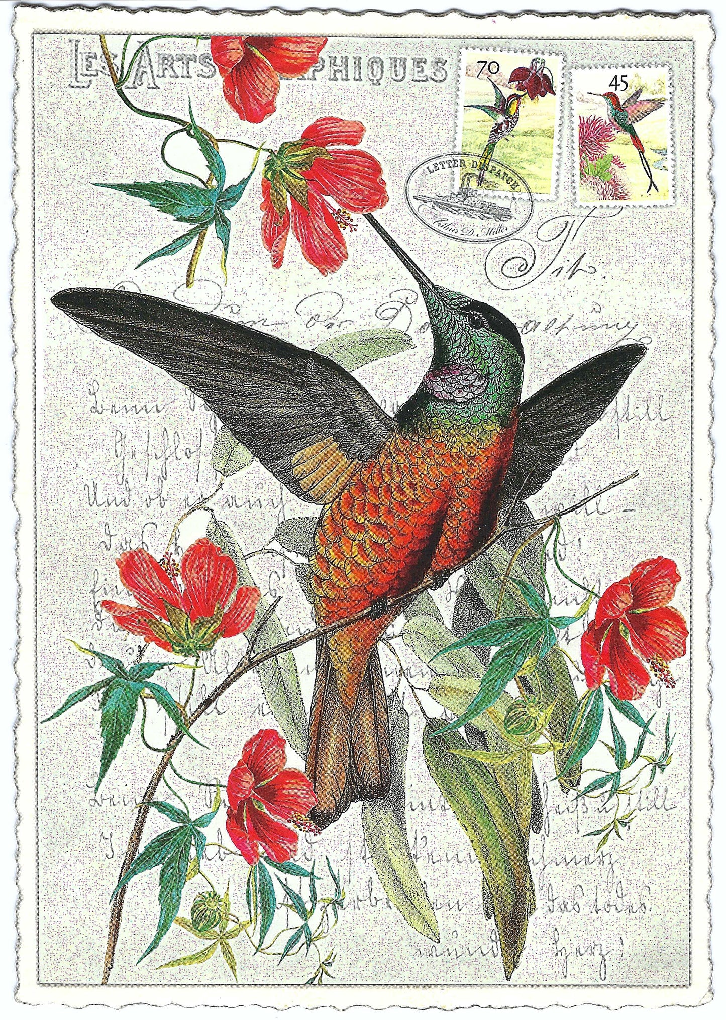 Edition Tausendschön - Hummingbird - Postcard