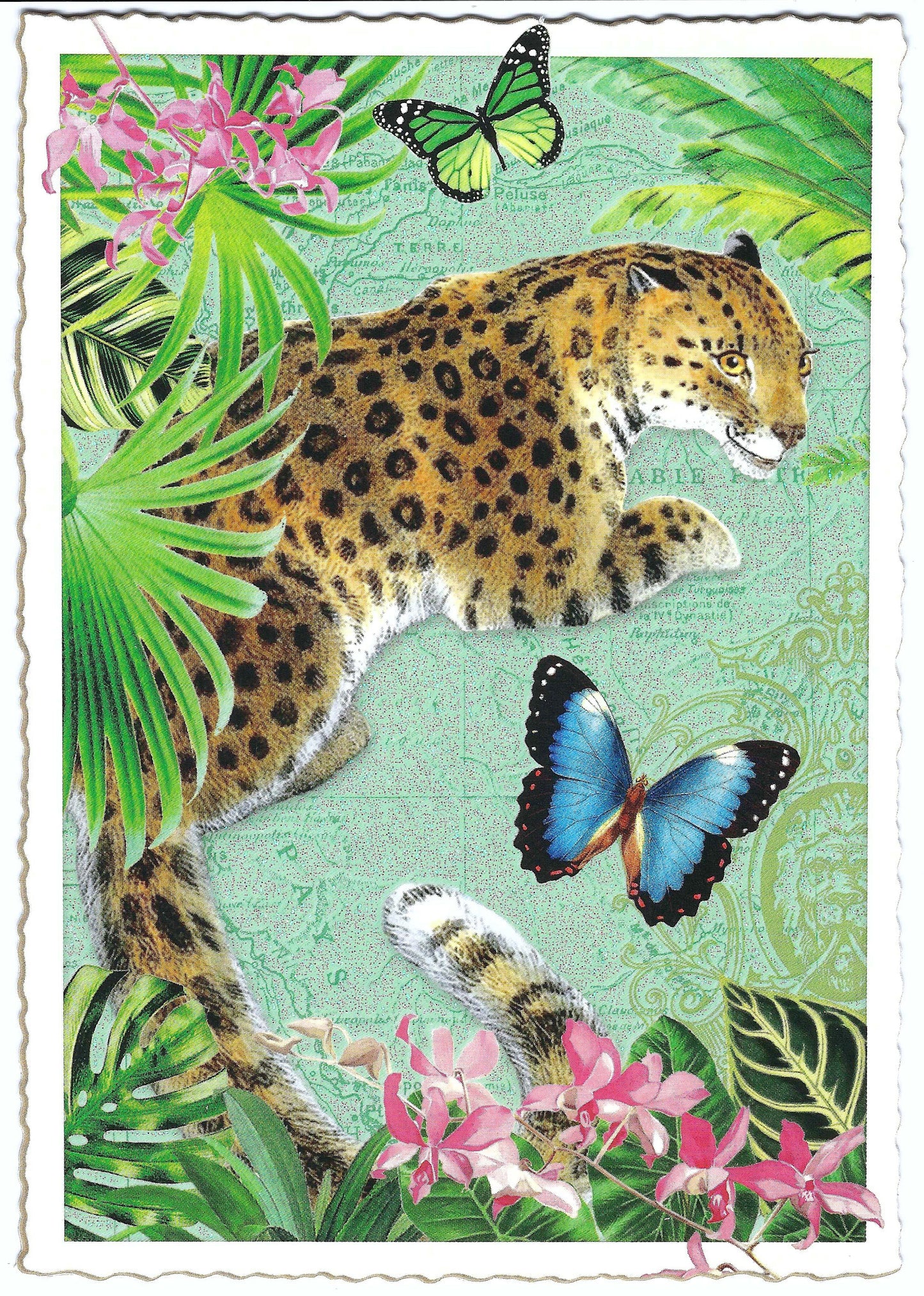 Edition Tausendschön Leopard Postcard