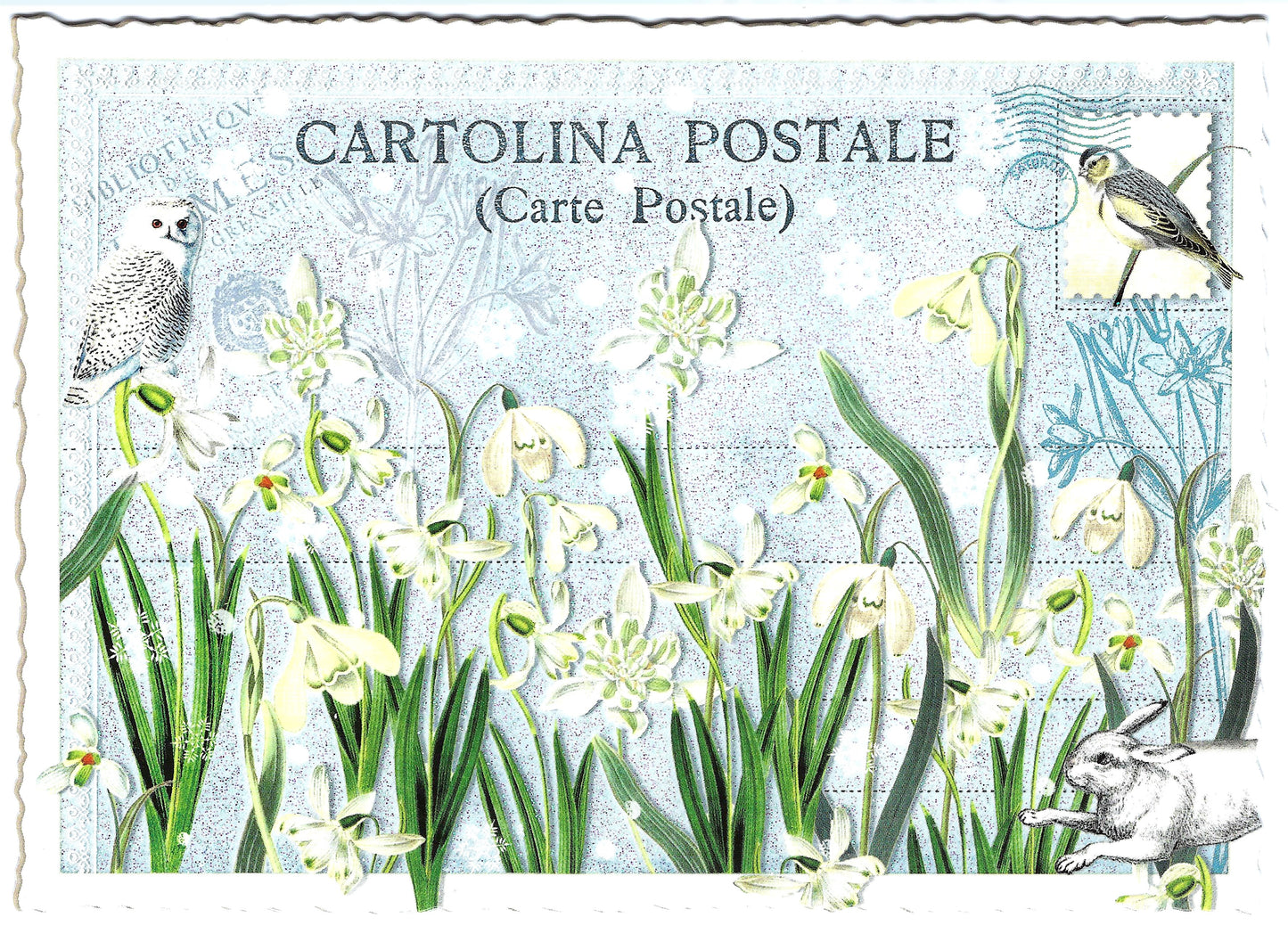 Edition Tausendschön - Lily of the Valley - PK620 - Postcard