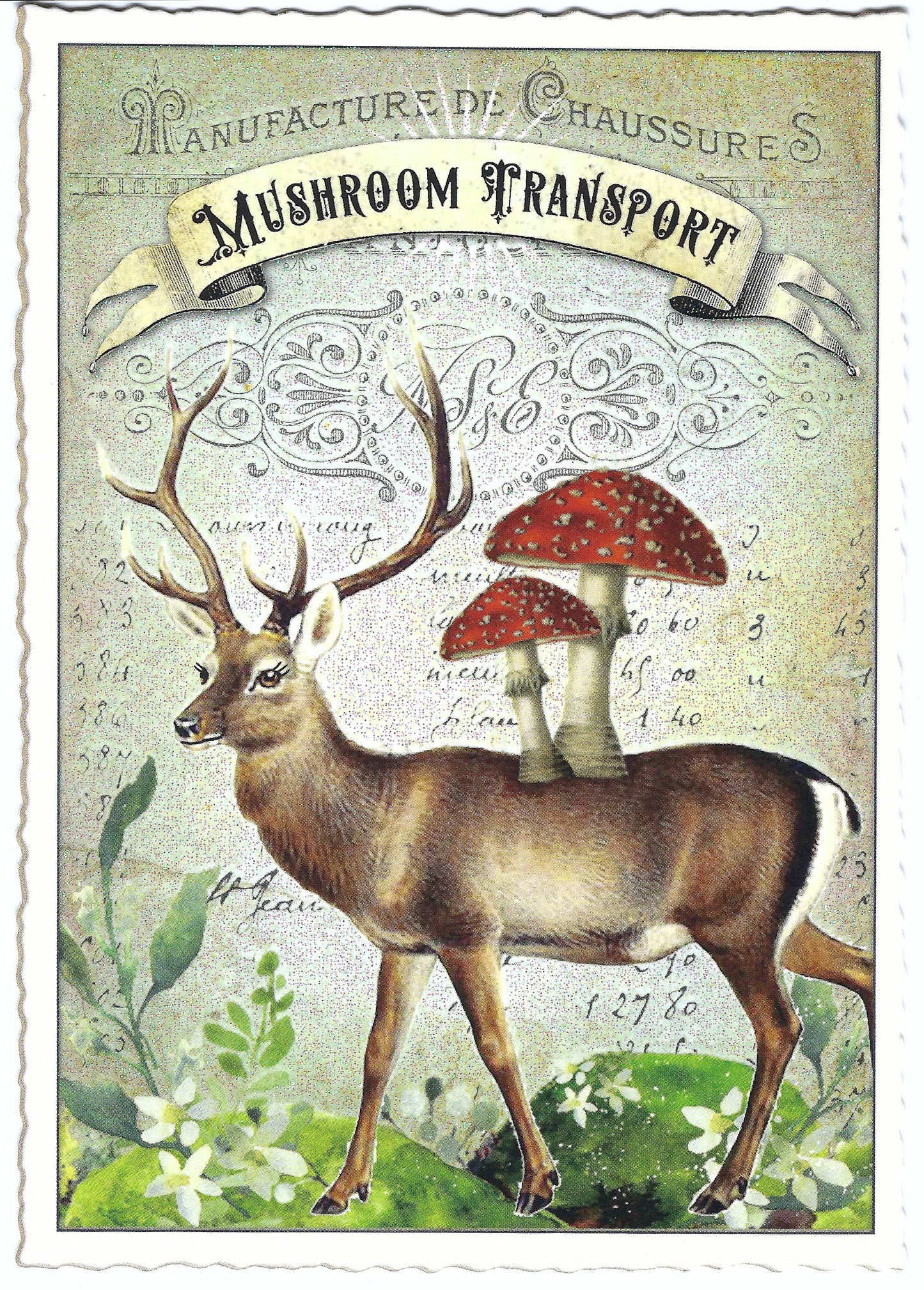 Edition Tausendschön postcard featuring an illustration of a deer with a mushroom on its back, titled 'MUSHROOM TRANSPORT' in a vintage style font.