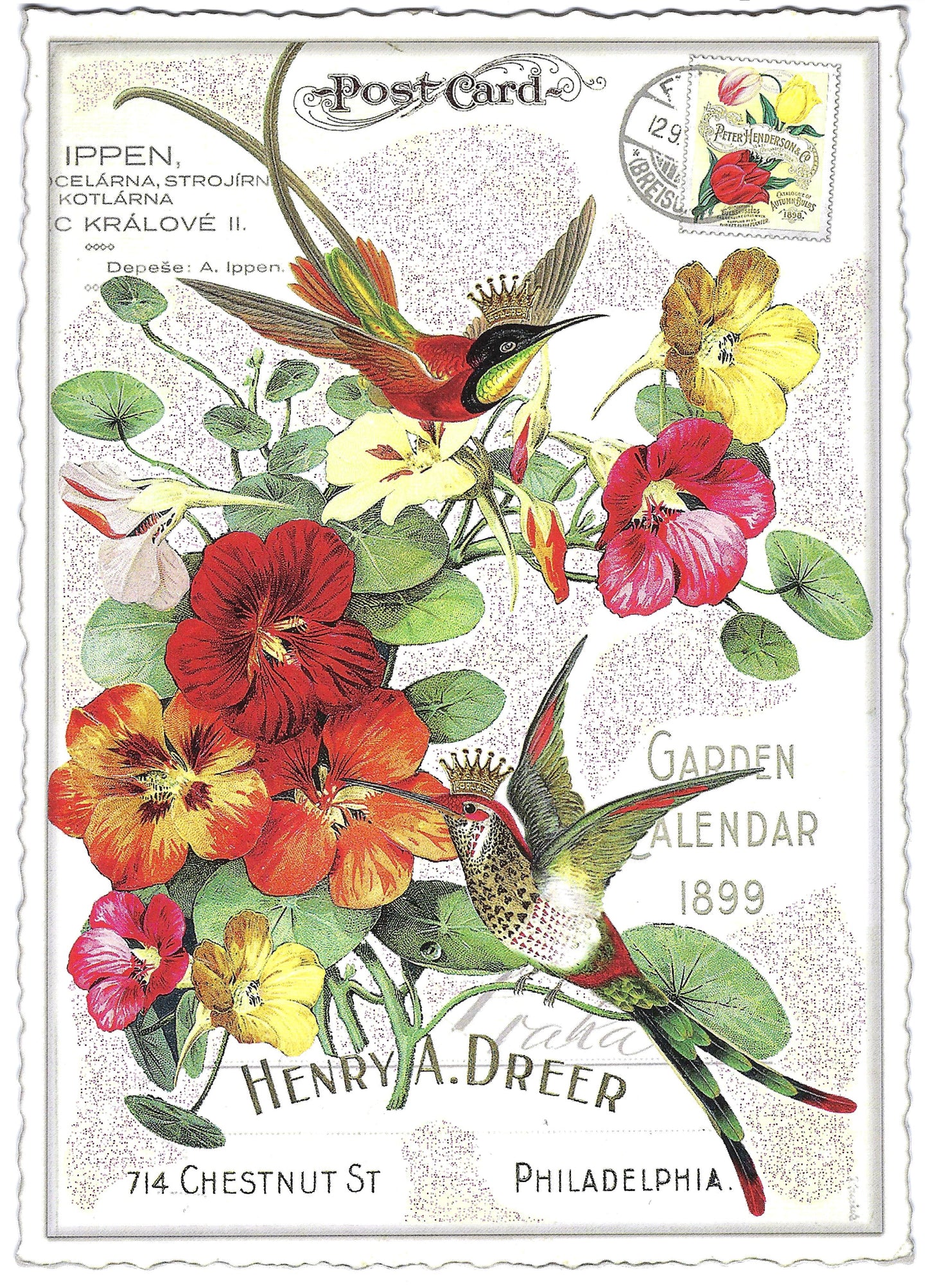 Edition Tausendschön - Flowers with Birds - PK939 - Postcard