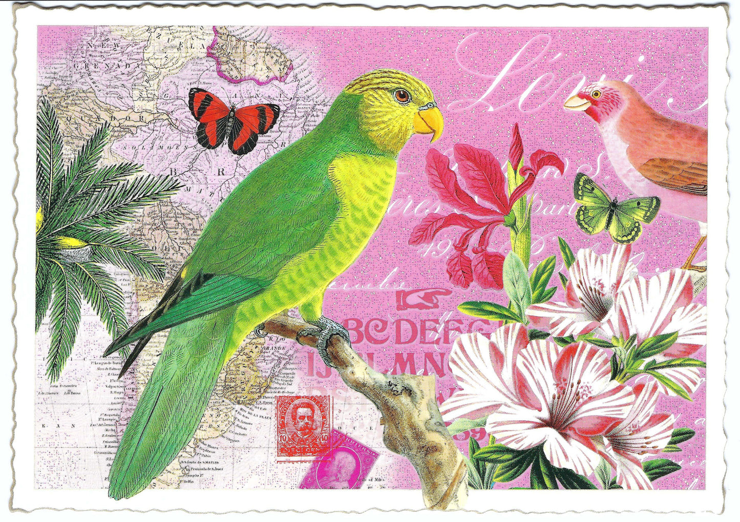 Edition Tausendschön - Parrot - PK984 - Postcard