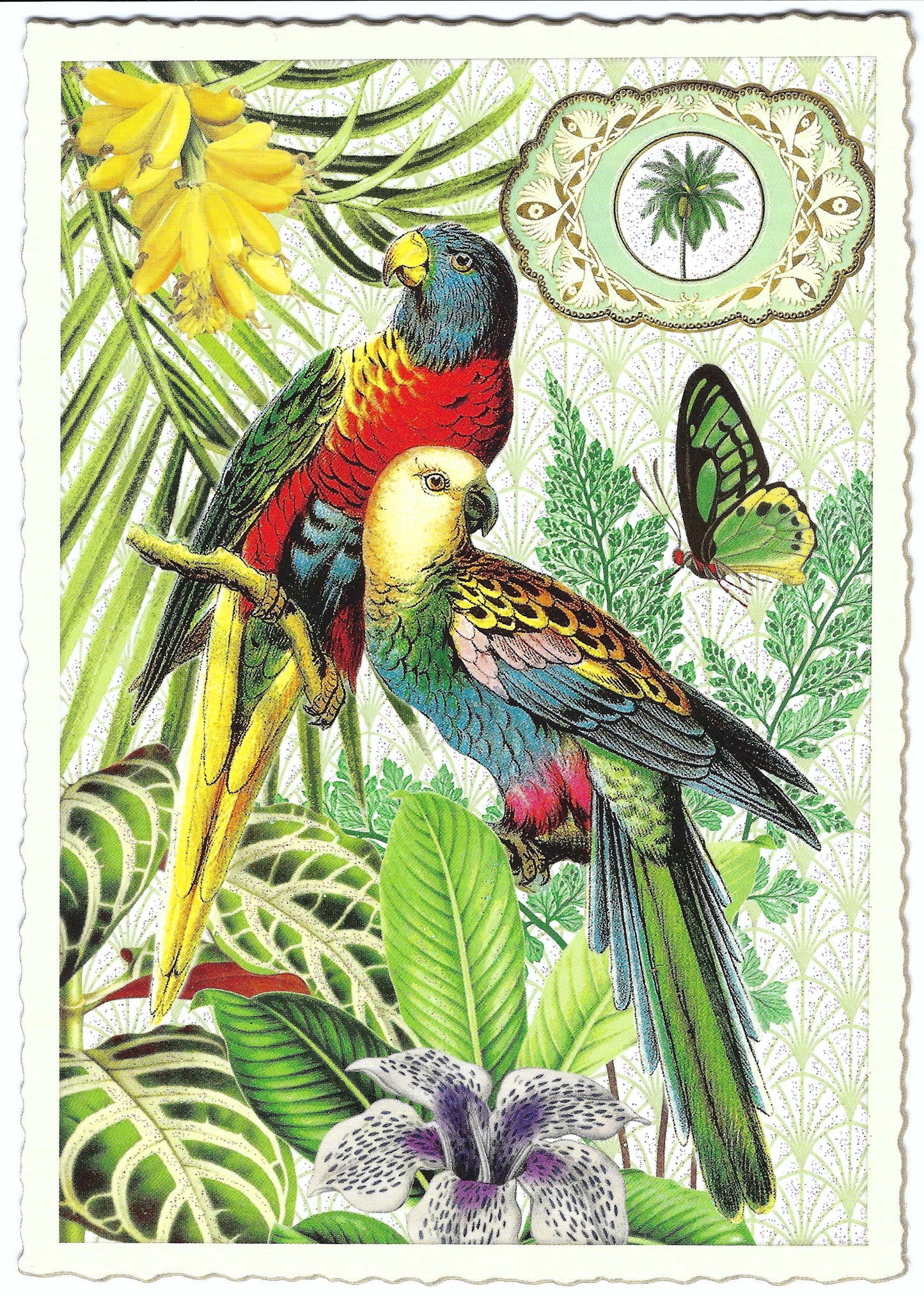 Edition Tausendschön - Parrots - PK917 - Postcard