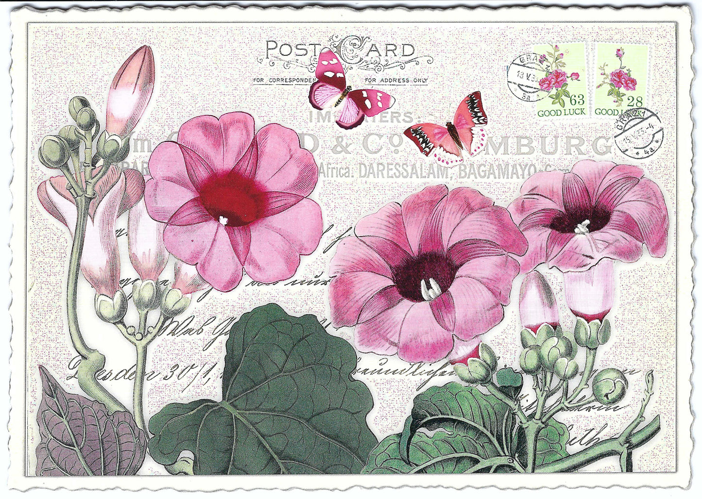 Edition Tausendschön - Trumpet flowers - PK898 - Postcard