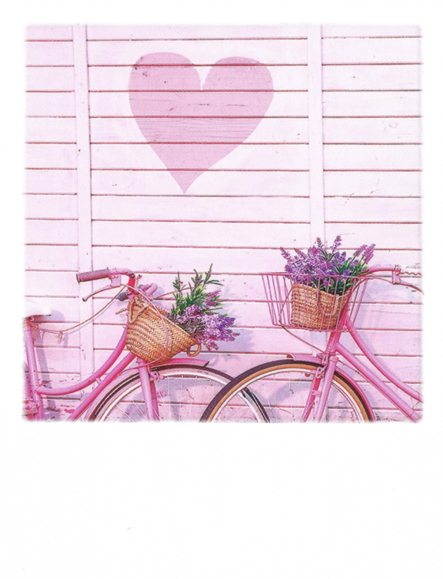 Pola Card - Bicycles - Flowers - Heart - Pink - Postcard