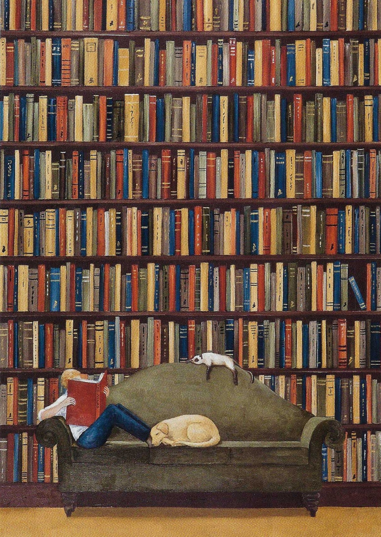 The Explorer Postcard featuring a person sitting on a couch reading a book, dog and cat sleeping next to them, in front of a large bookshelf. Rebecca Campbell Vontobel Art