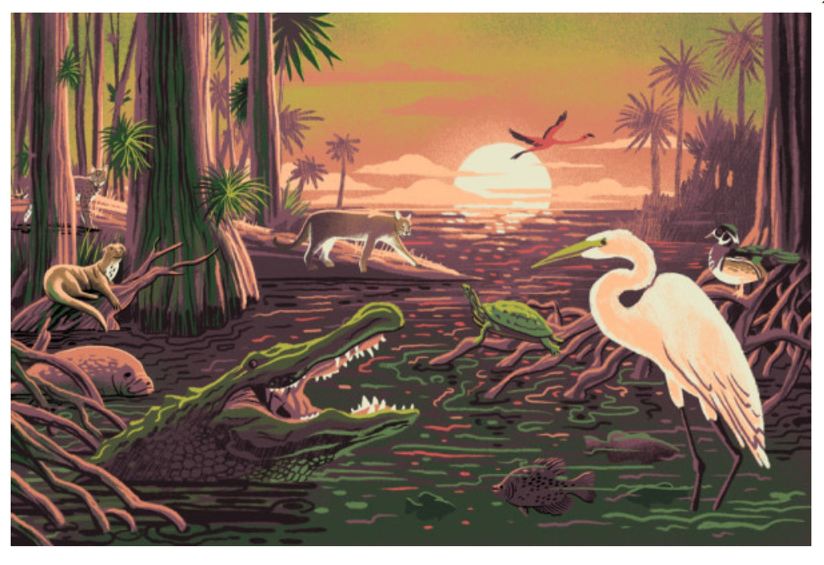 Wildlife Utopia - Marshlands Postcard by Lantern Press feauring an illustration of a swampy marsh at sunset with a crocodile, turtle, heron, egret, otter, manatee, bobcat and a flamingo in the background.