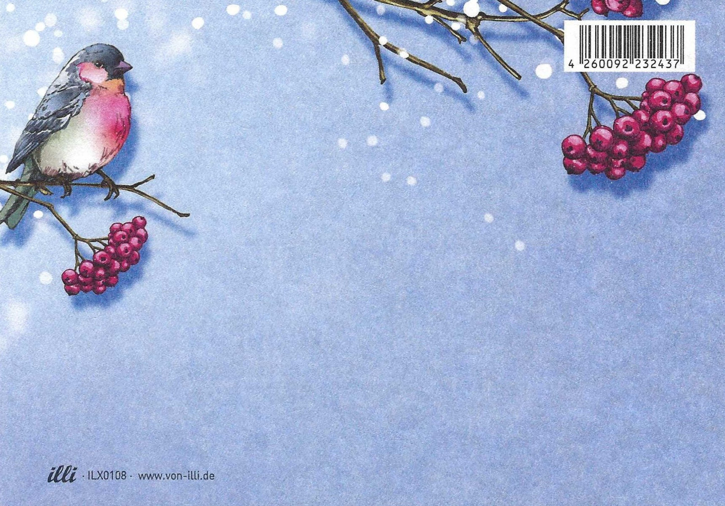 Badiba Winter Bird Postcard by Nobis Design