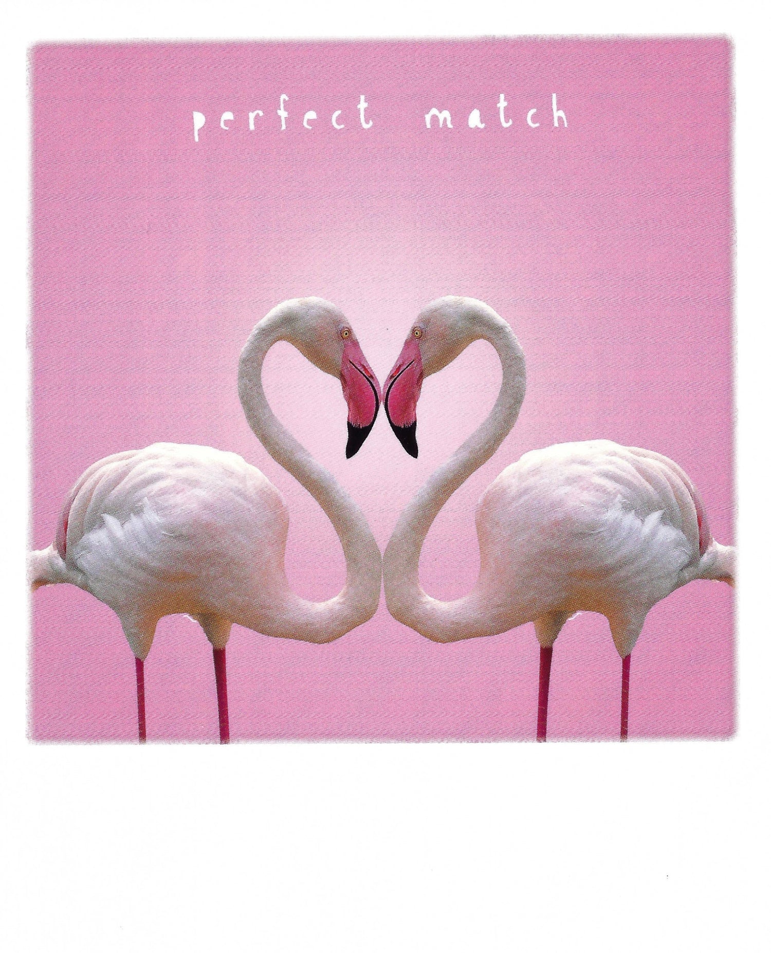 Pola Postcards / Clik Postcards